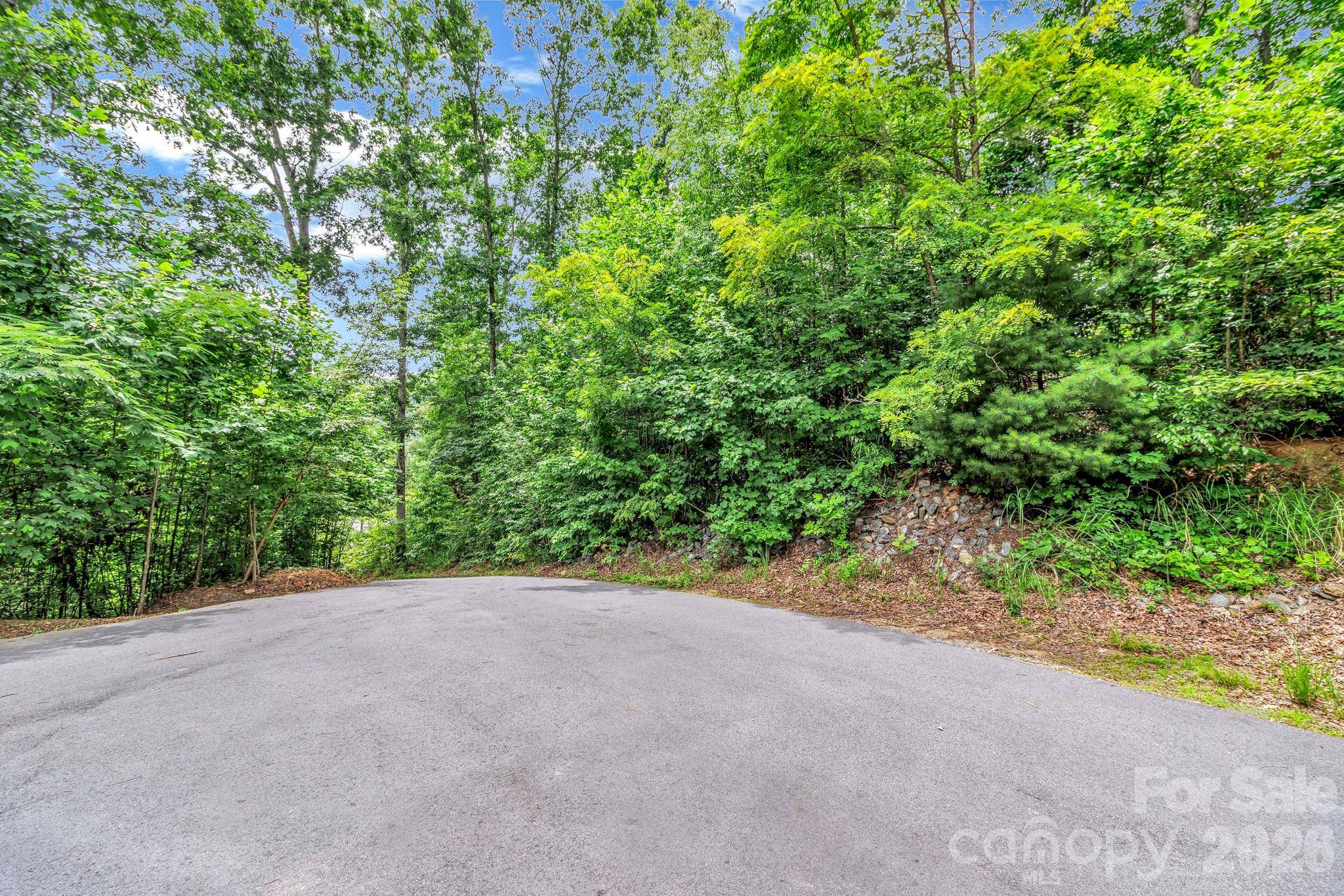 30 Pinners Cove RD, Asheville, NC 28803