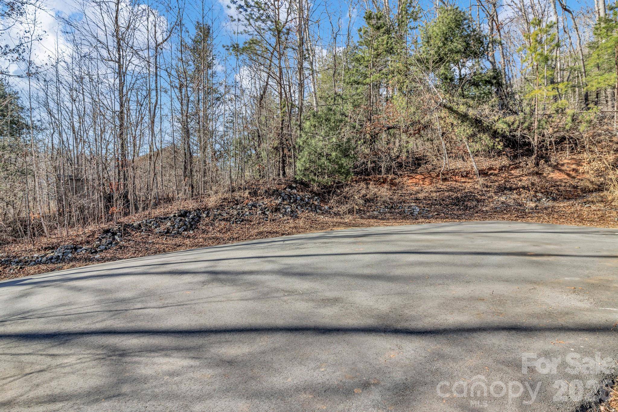 30 Pinners Cove RD, Asheville, NC 28803
