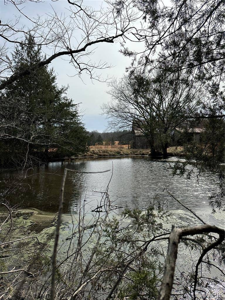 TBD Upper Janes Creek Road, Ravenden, AR 72459