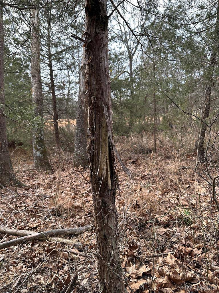 TBD Upper Janes Creek Road, Ravenden, AR 72459