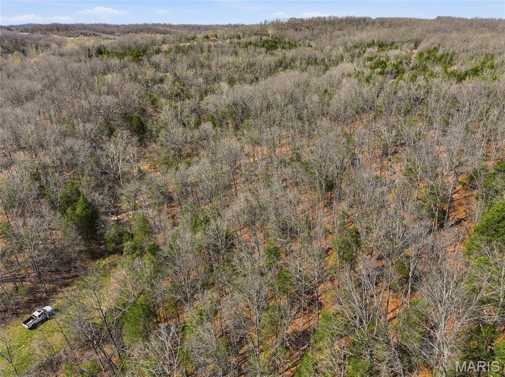 2480 County Road 317, Other, MO 65773