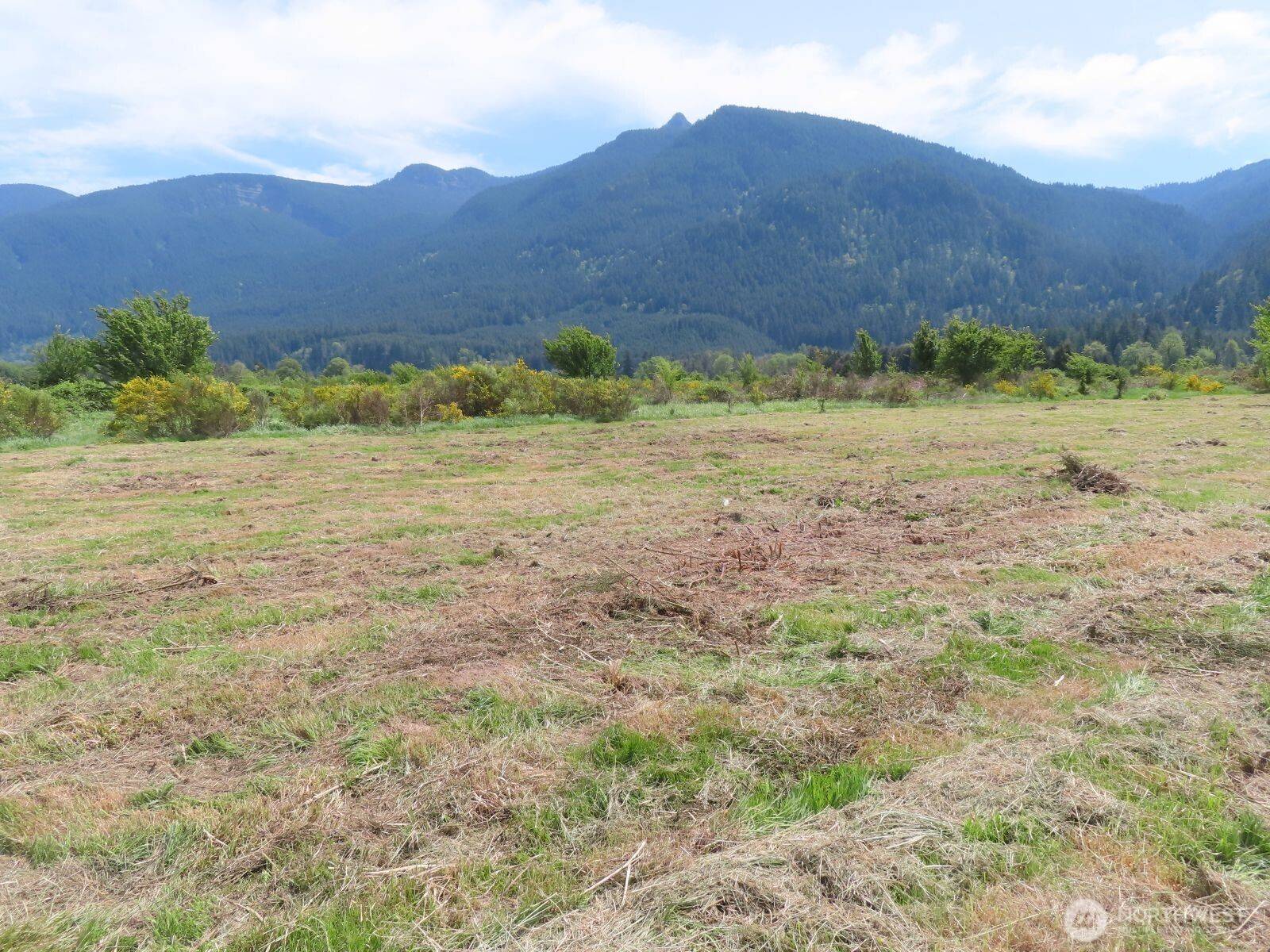 295 River Ranch RD, Randle, WA 98377