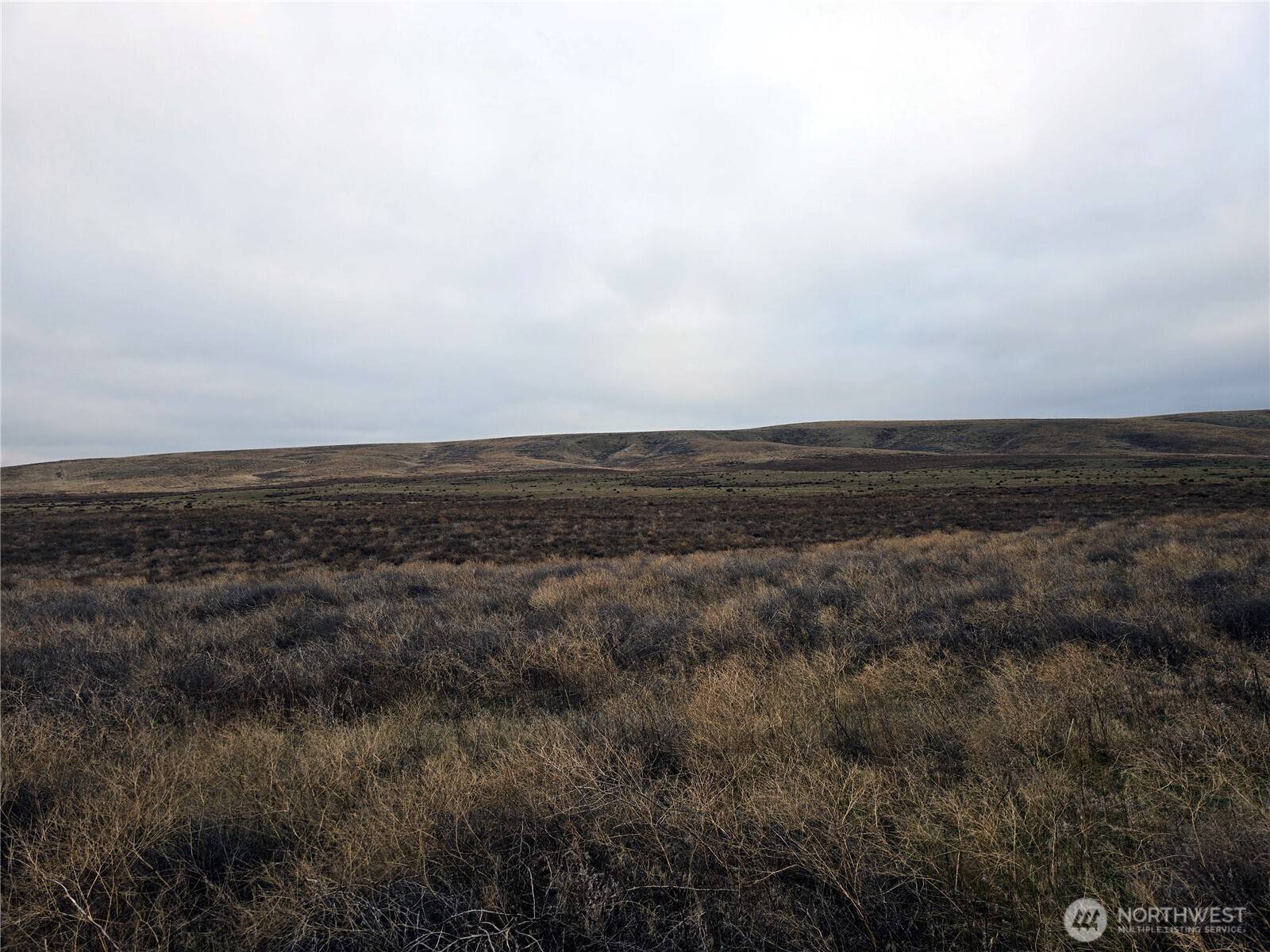 4200 Wadsworth RD, Kahlotus, WA 99335