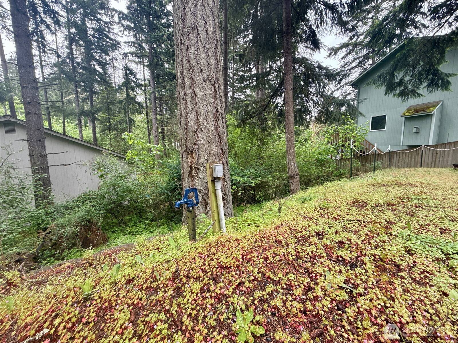 22441 Clearview CT SE, Yelm, WA 98597