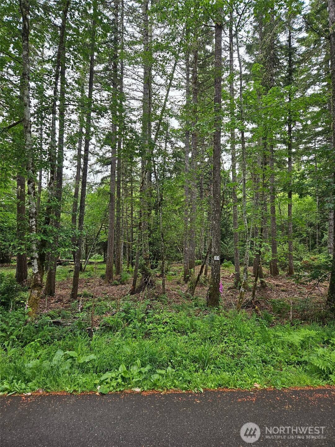 870 E Wilson WAY, Grapeview, WA 98546