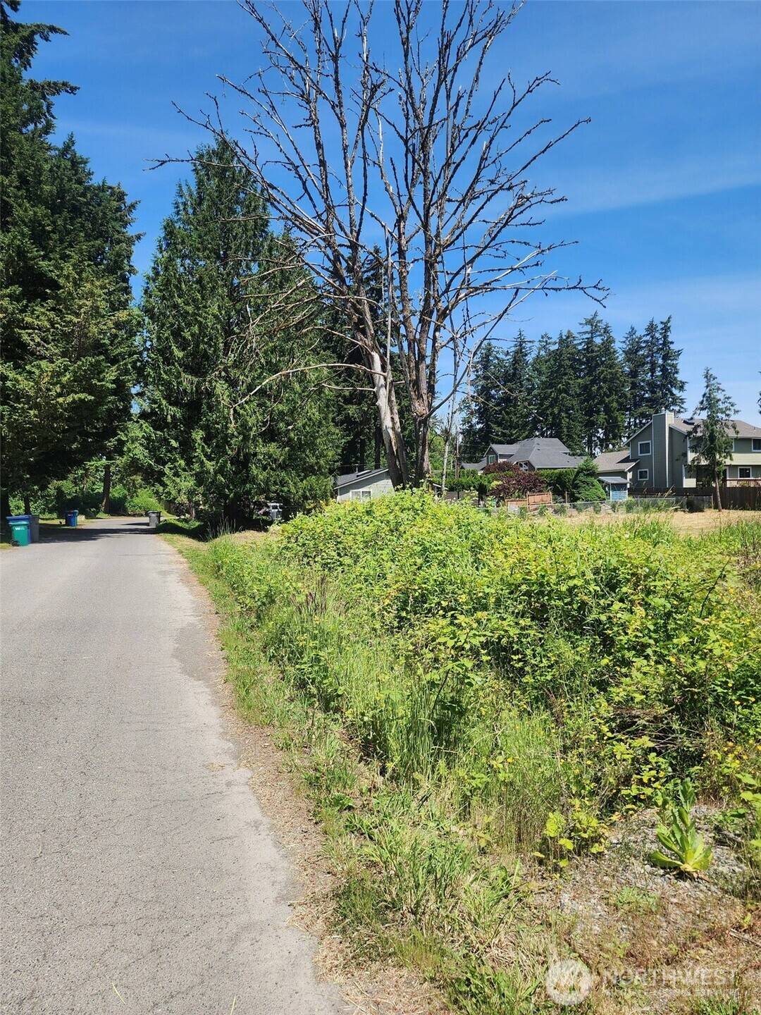 376 XX 47th AVE S, Auburn, WA 98001