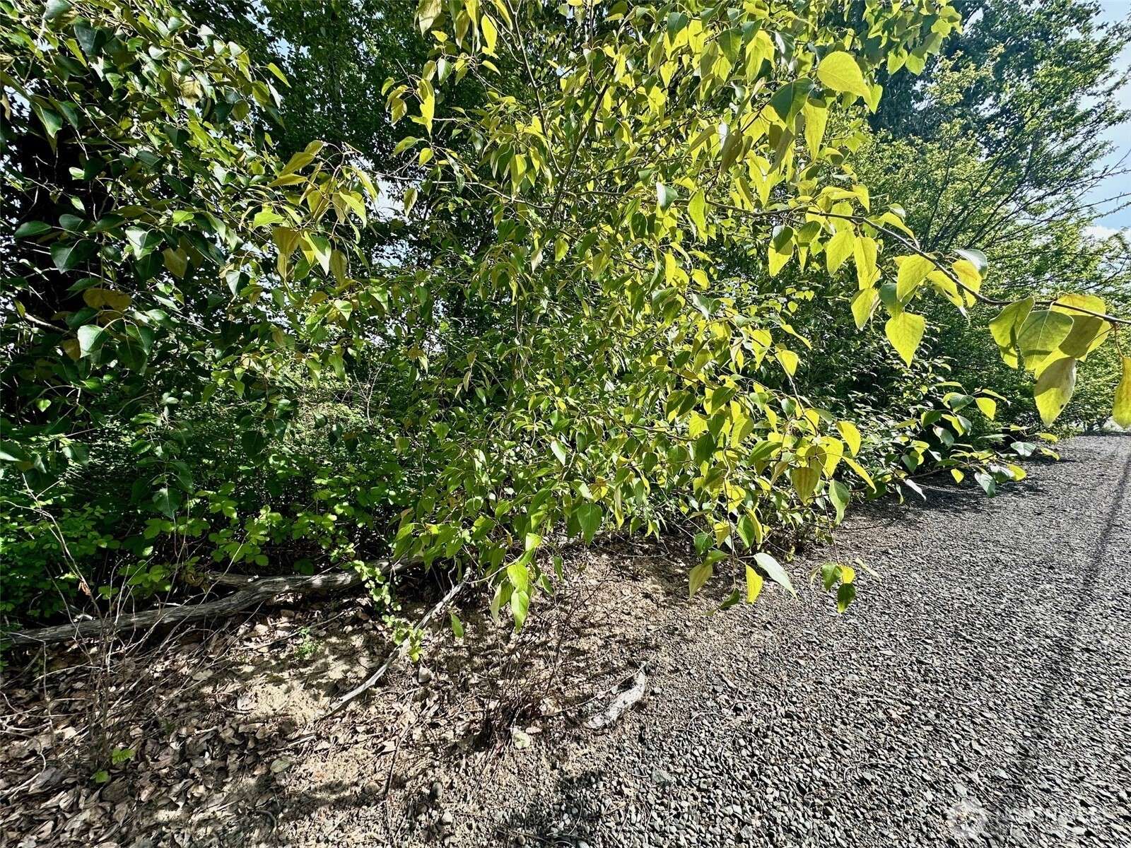 3010 E Sunset DR, Bellingham, WA 98226