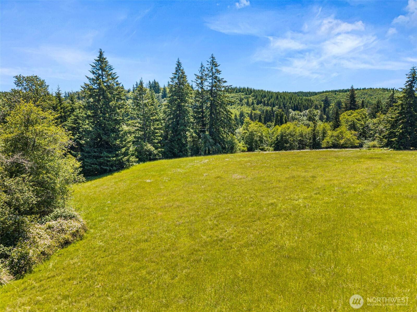 0 Ramsey RD, Adna, WA 98522