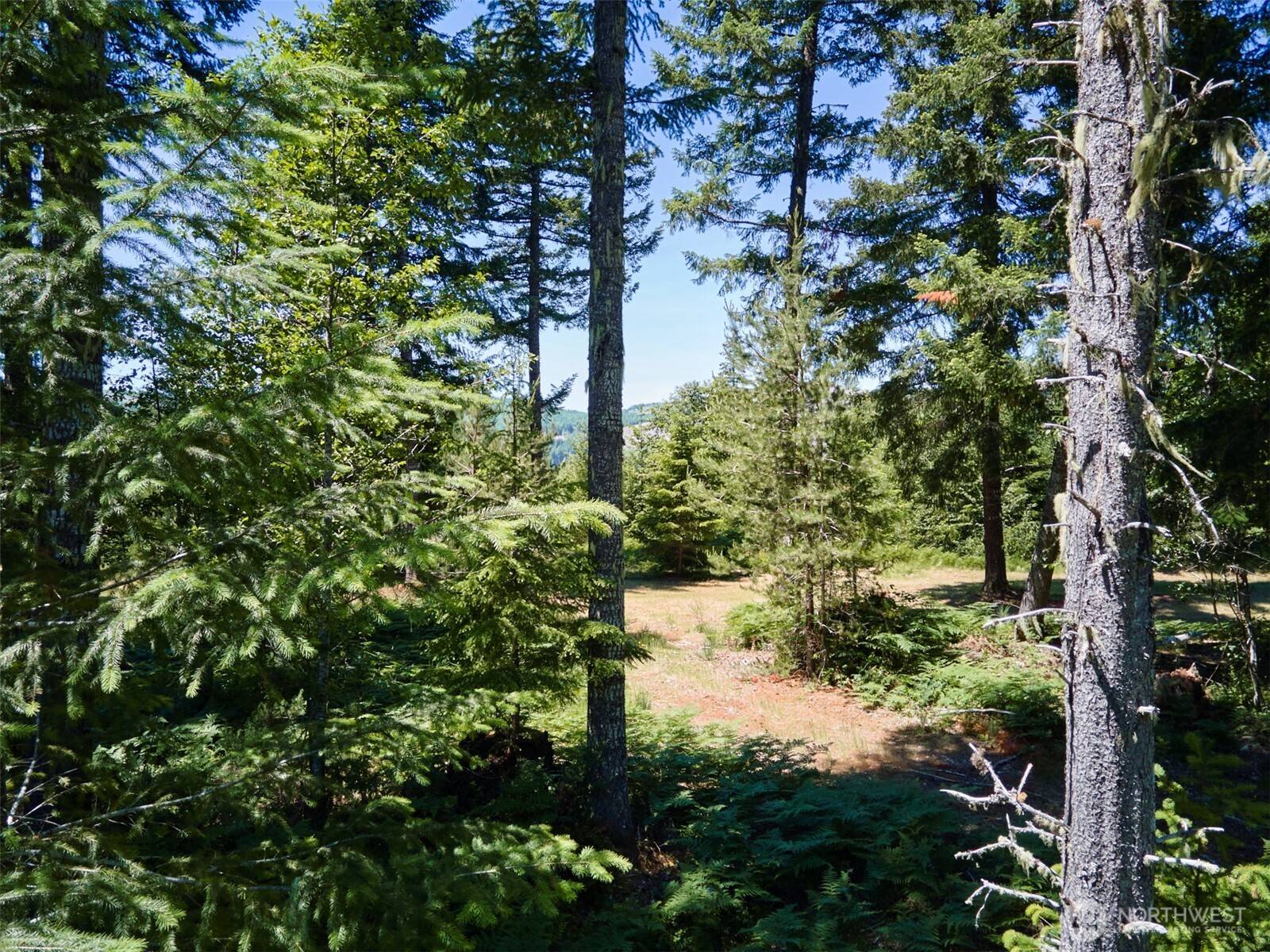 0 Loowit LN, Cougar, WA 98616