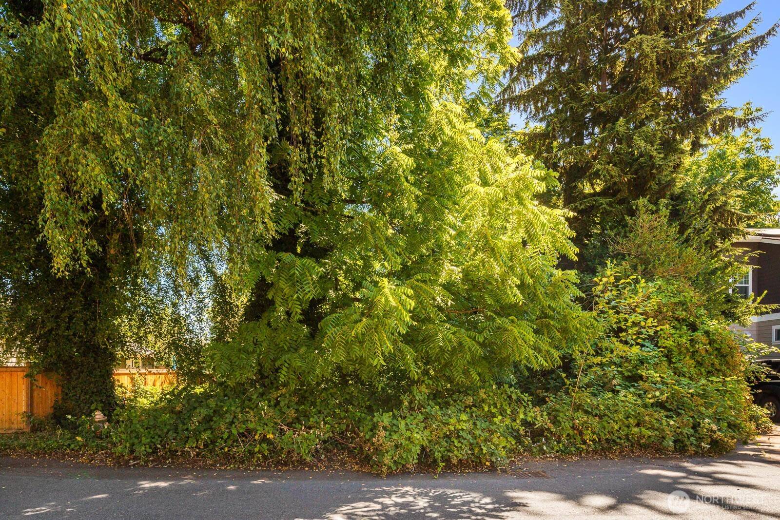 672 Lind AVE NW, Renton, WA 98057