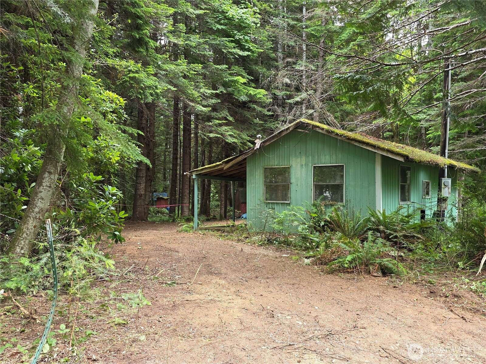 160 Elk DR, Brinnon, WA 98320