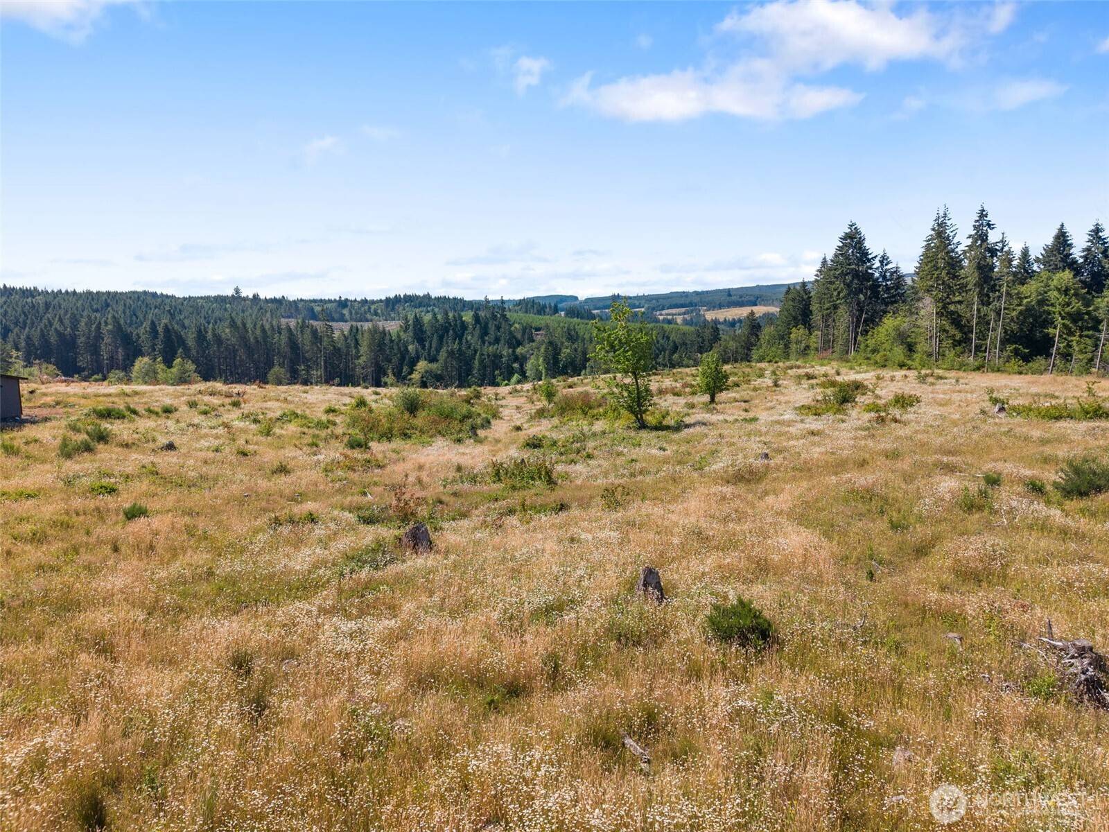 597 Brown RD, Adna, WA 98522