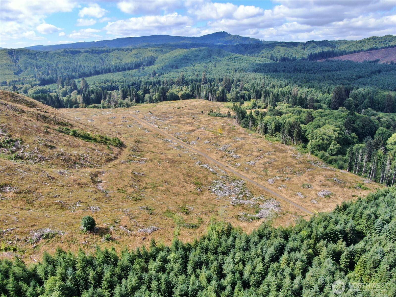 0 Off of North River RD, Cosmopolis, WA 98537