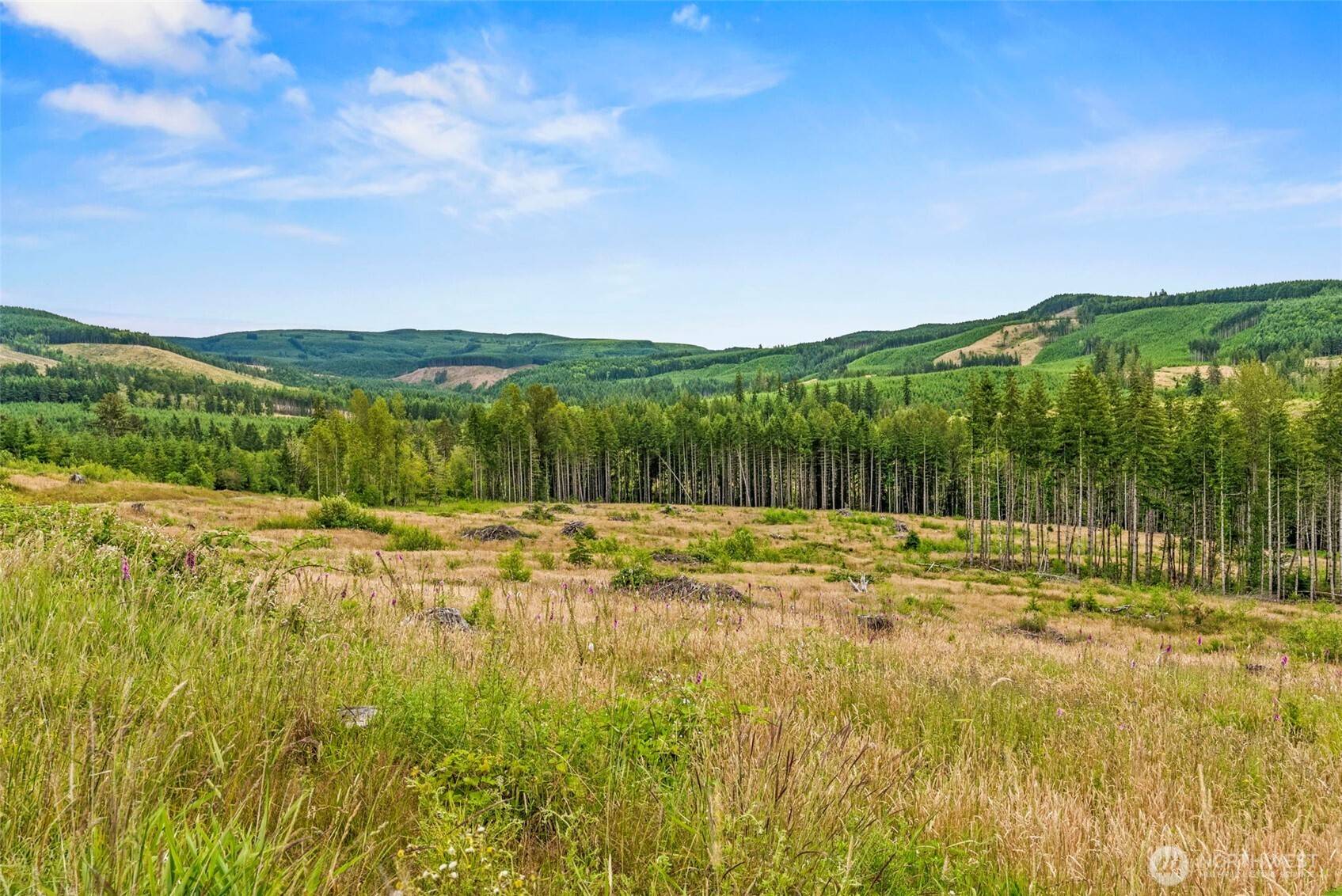 4 Lot 4 Parker RD, Toutle, WA 98649