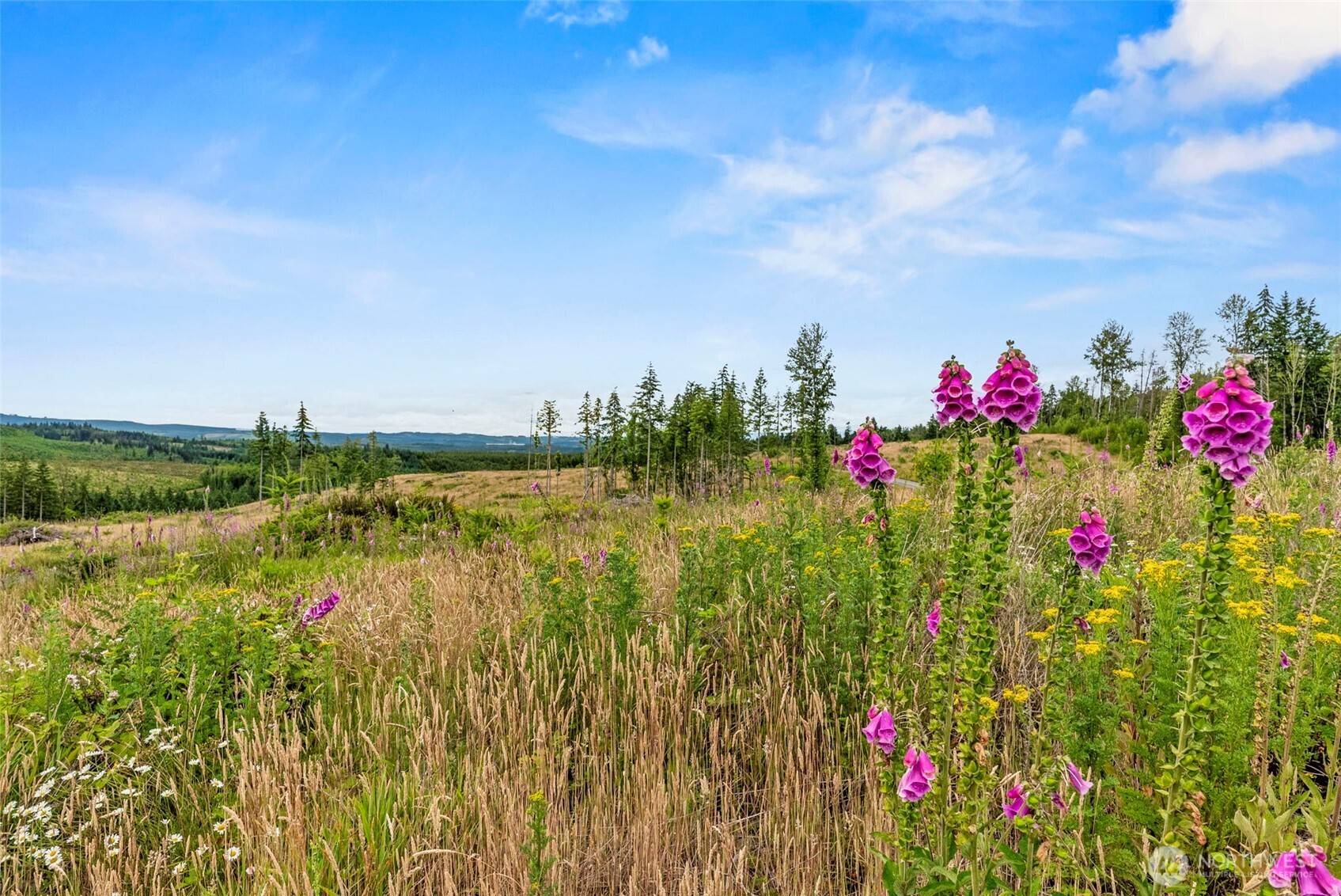 1 Lot 1 Parker RD, Toutle, WA 98649