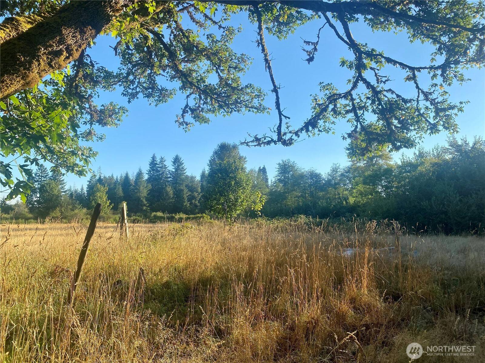 3444 W Matlock-Brady RD, Elma, WA 98541