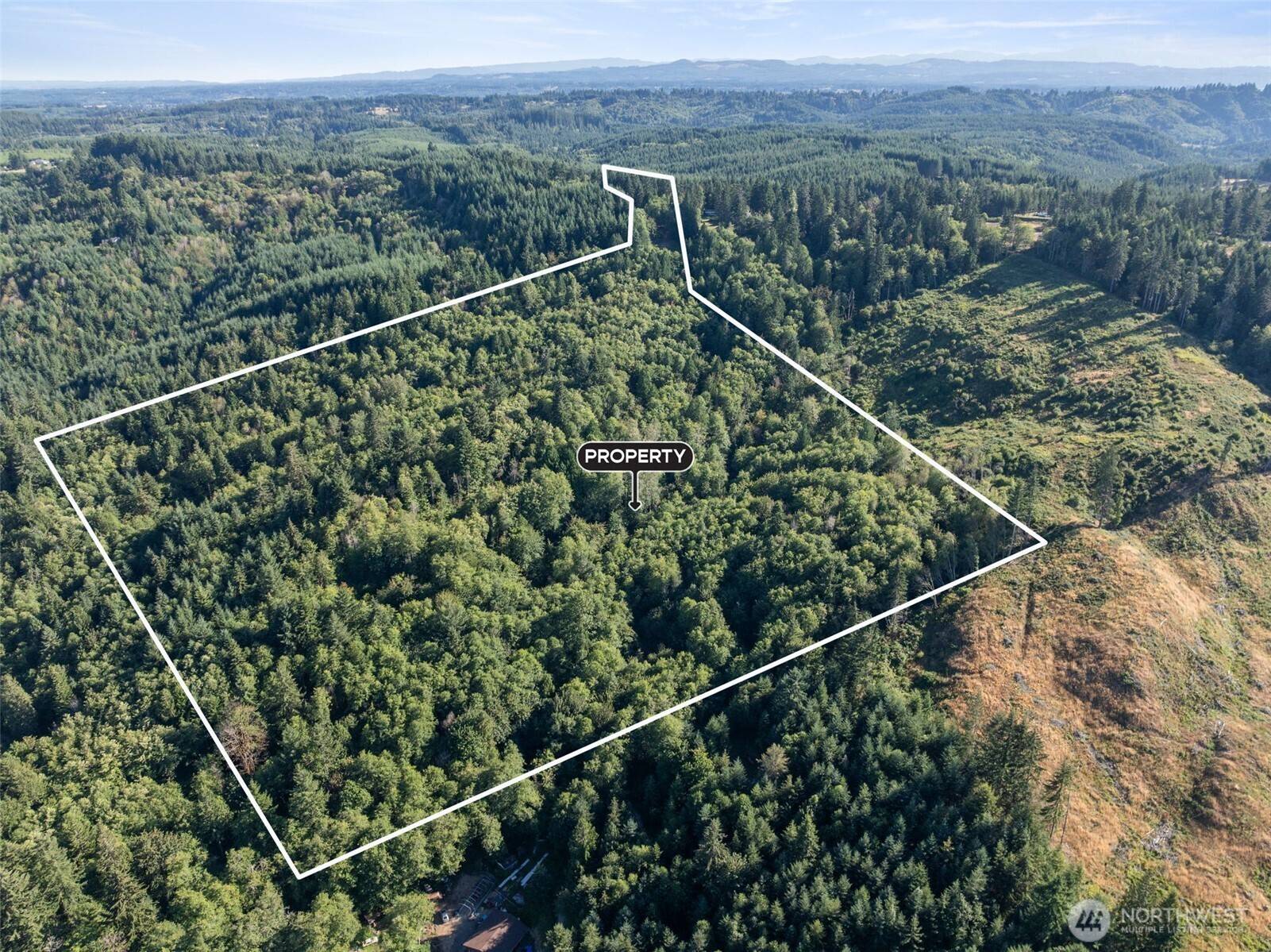 541 Centralia Alpha RD, Chehalis, WA 98532