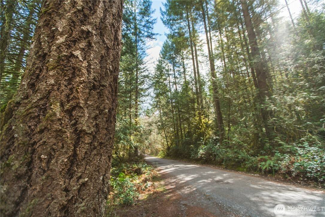 0 SW County Line RD, Port Orchard, WA 98367