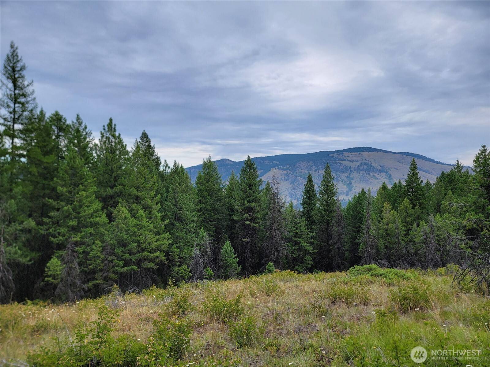 0 Dragon's Lair LN, Curlew, WA 99118