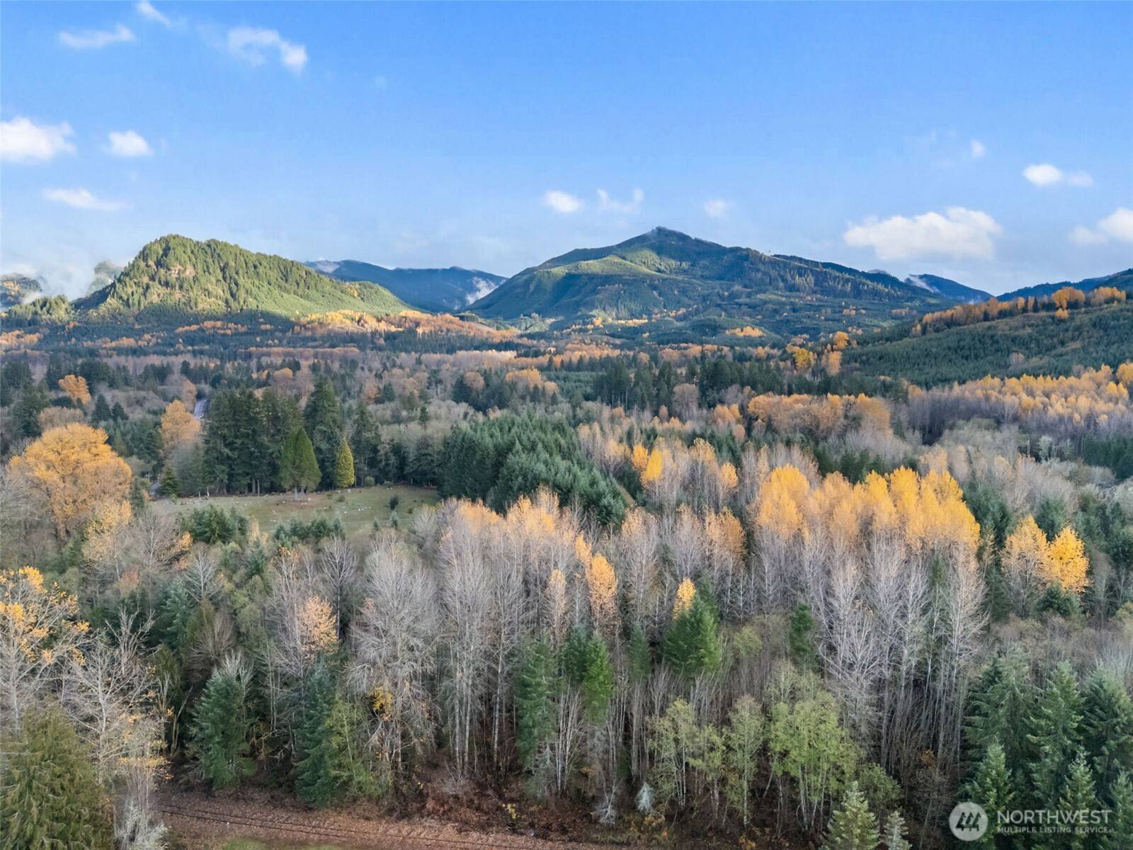 1 Roosevelt ST, Mineral, WA 98355