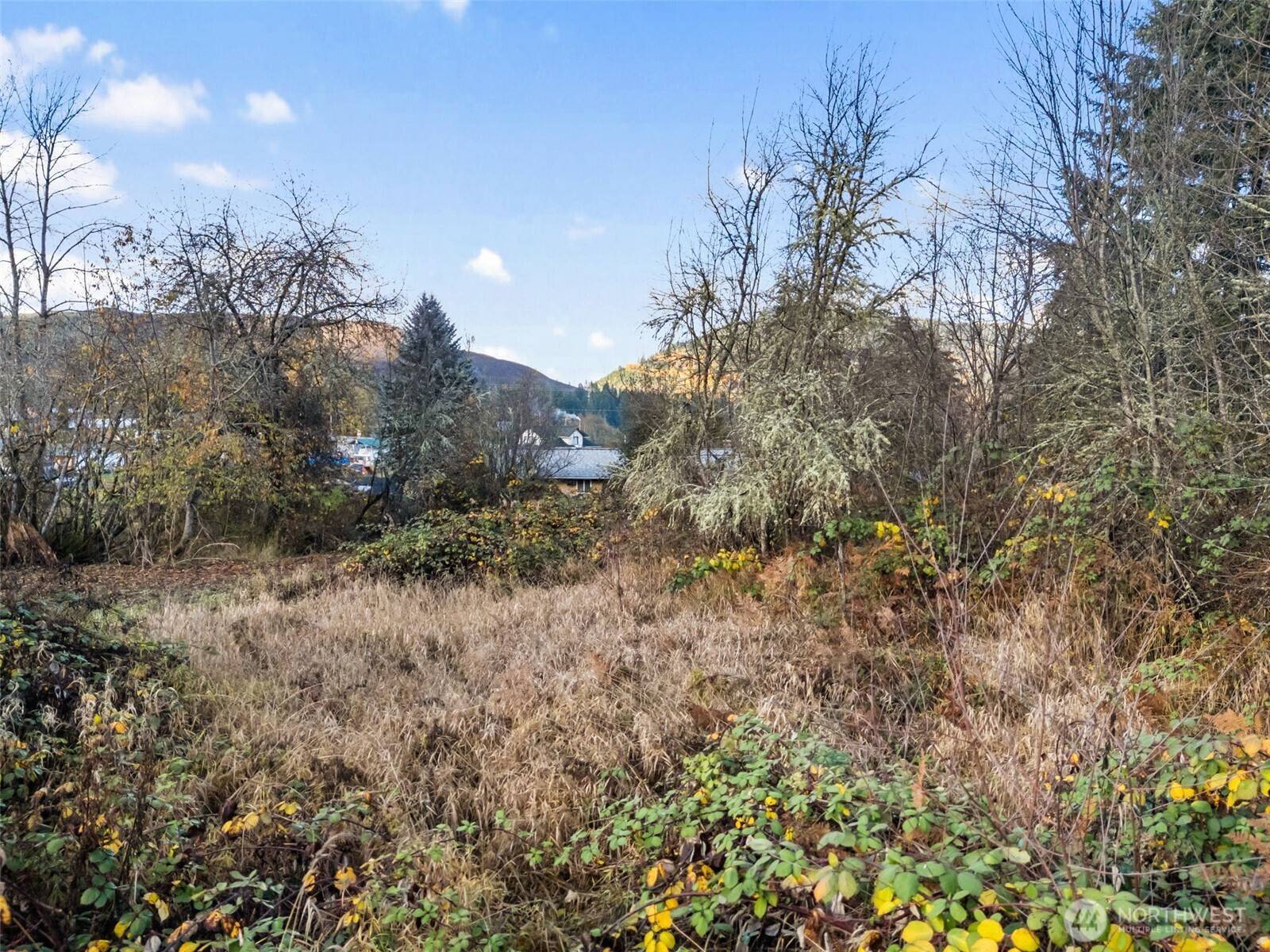3 Roosevelt ST, Mineral, WA 98355