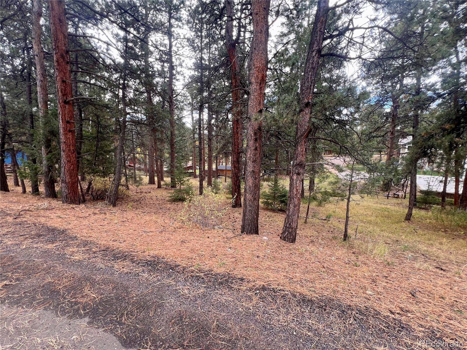 26698 De Berry ST, Conifer, CO 80433