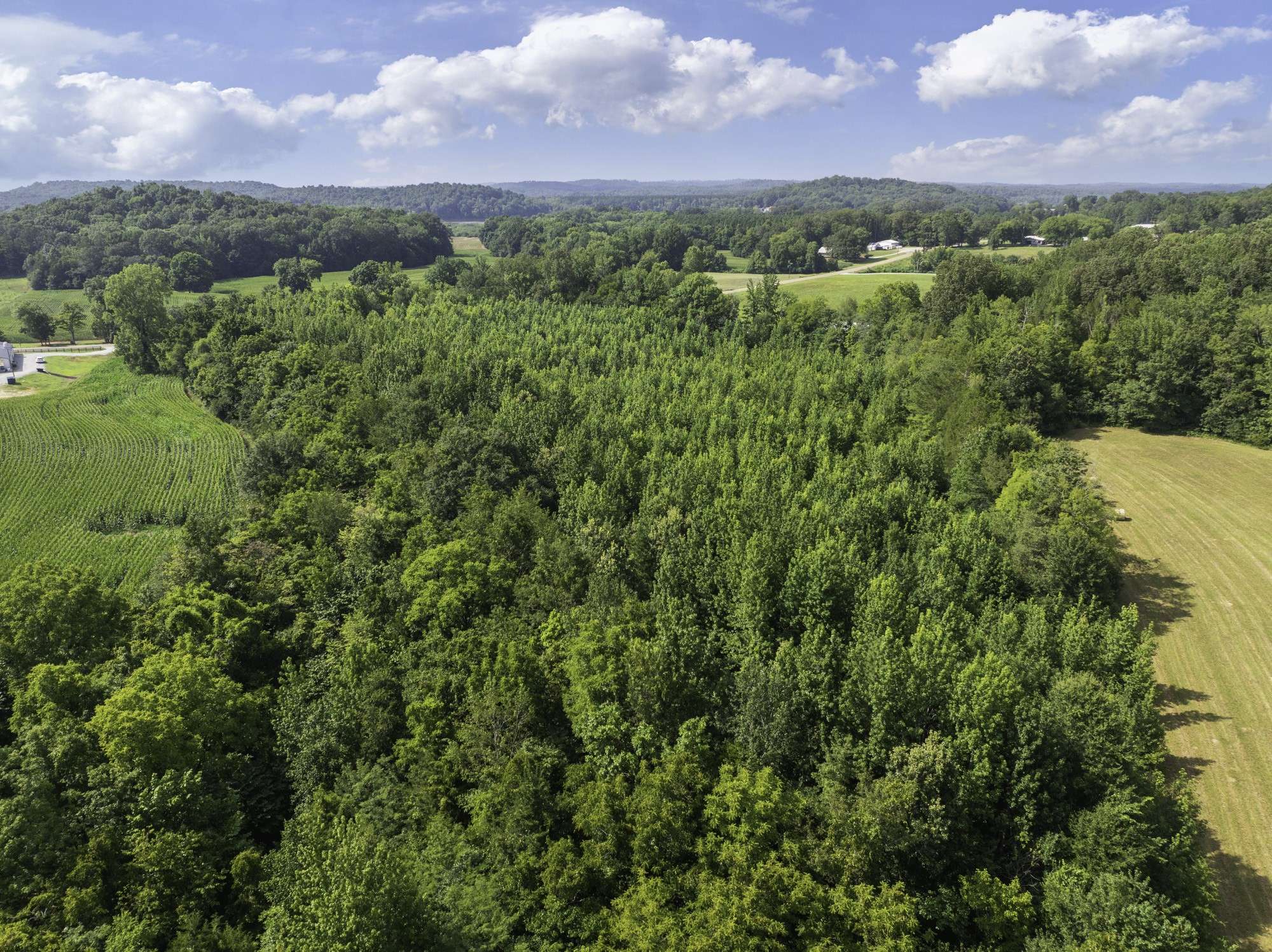 0 Highway 100 E, Decaturville, TN 38329