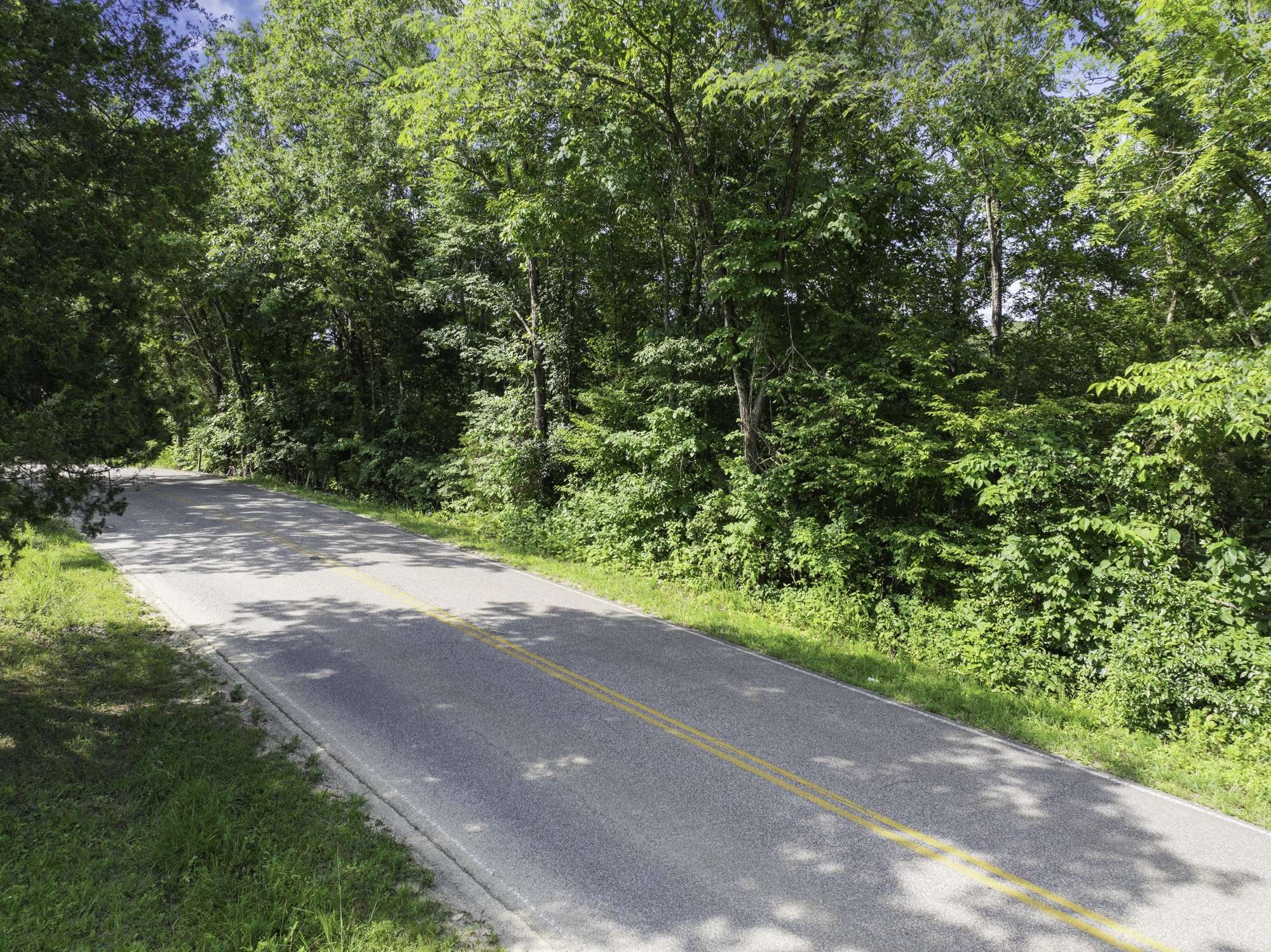 0 Highway 100 E, Decaturville, TN 38329