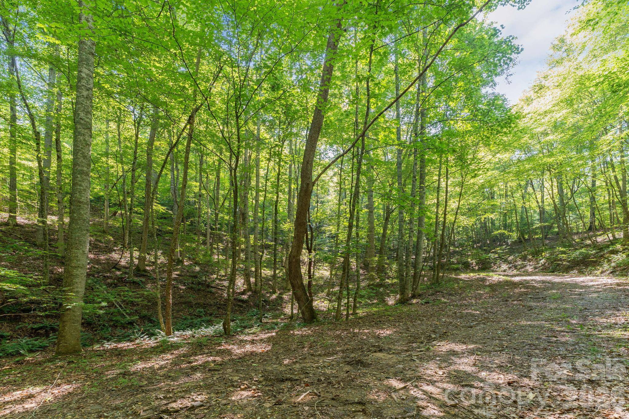 80 Breezewood DR, Bryson City, NC 28713