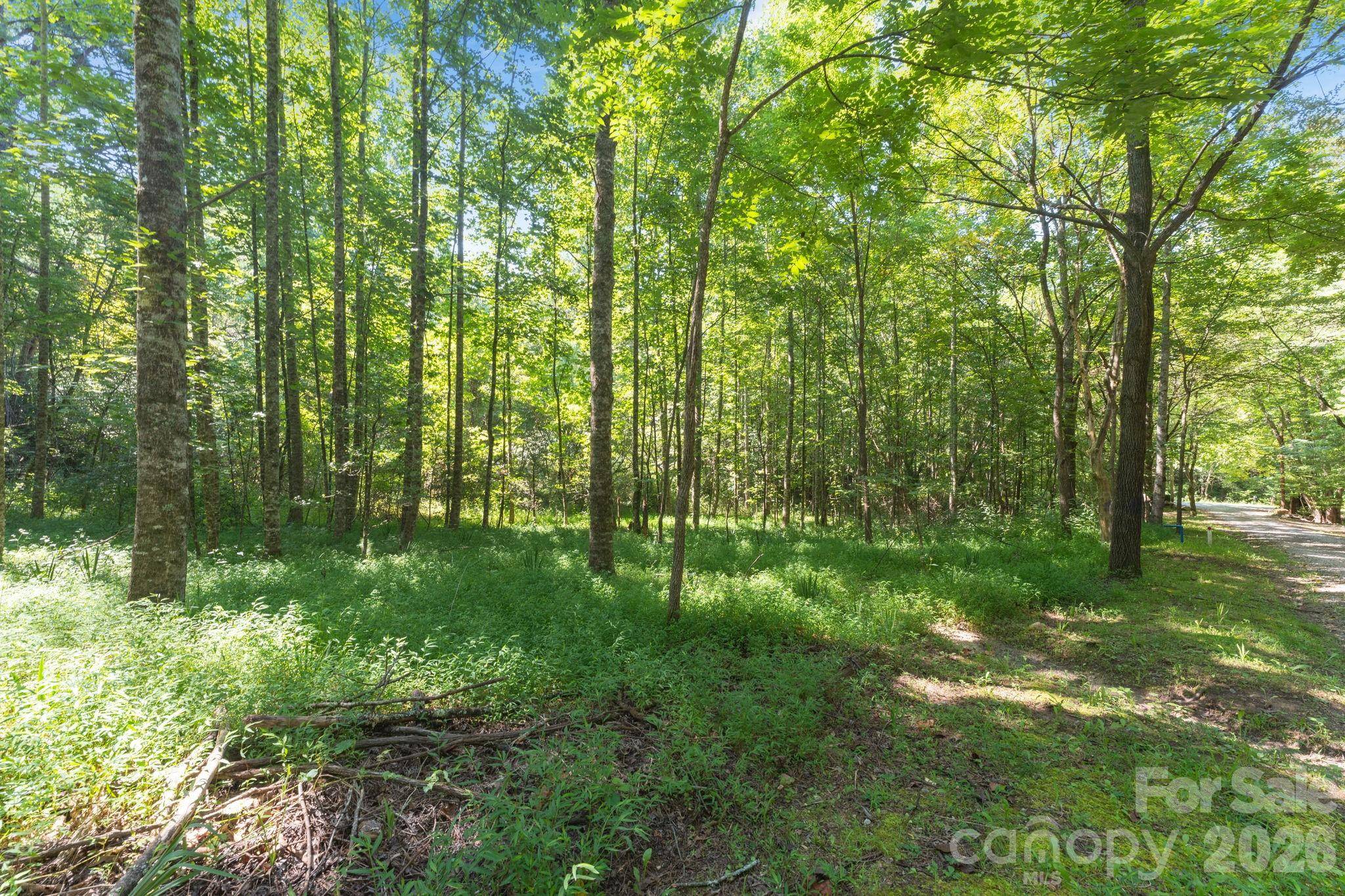 80 Breezewood DR, Bryson City, NC 28713