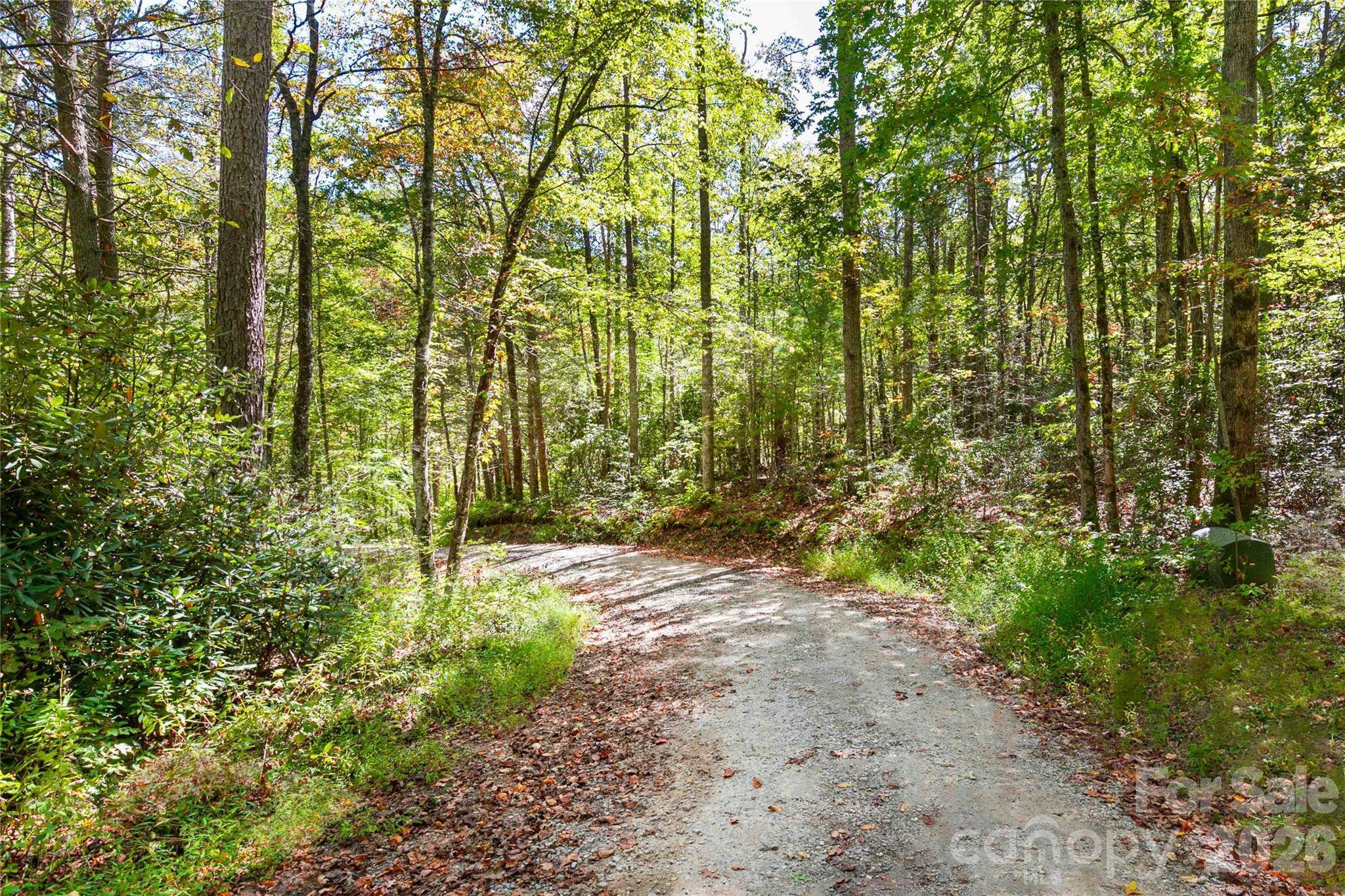 14 Johnny Farm RD, Black Mountain, NC 28711