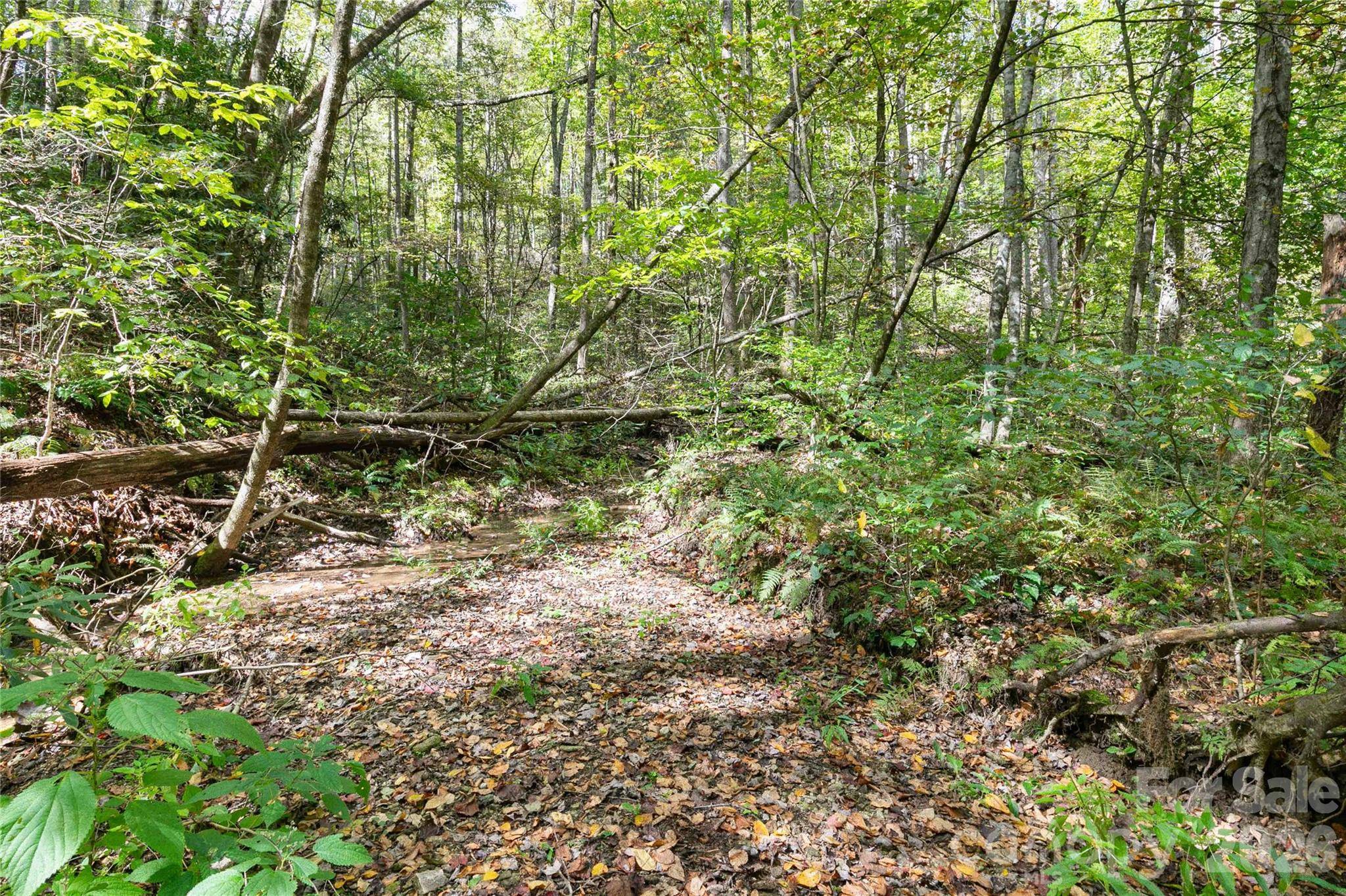 14 Johnny Farm RD, Black Mountain, NC 28711