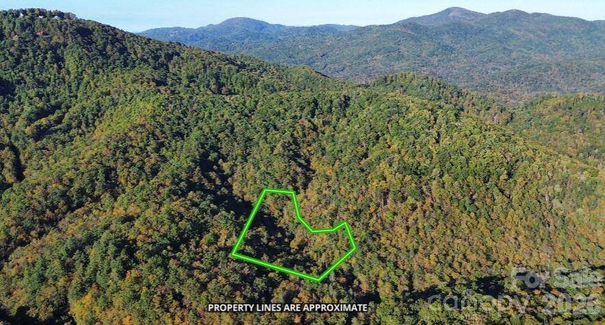 14 Johnny Farm RD, Black Mountain, NC 28711