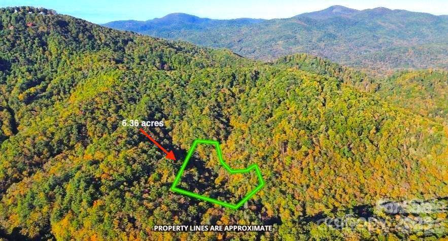 14 Johnny Farm RD, Black Mountain, NC 28711