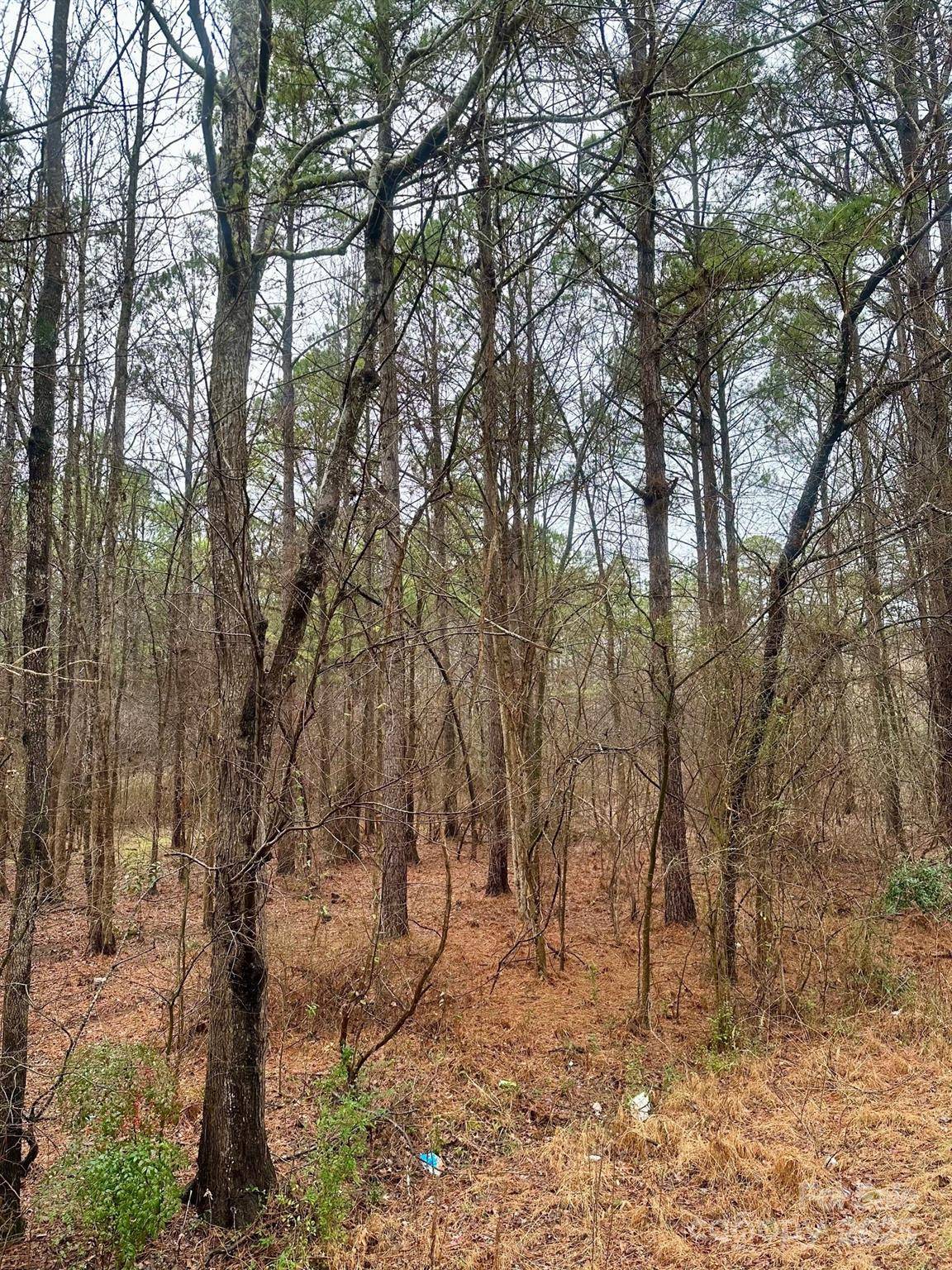 1176 Great Falls HWY, Chester, SC 29706