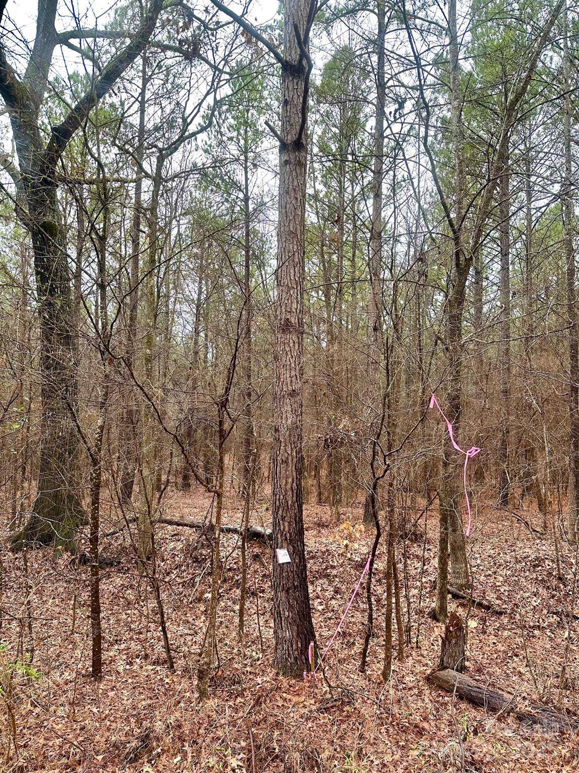 1176 Great Falls HWY, Chester, SC 29706