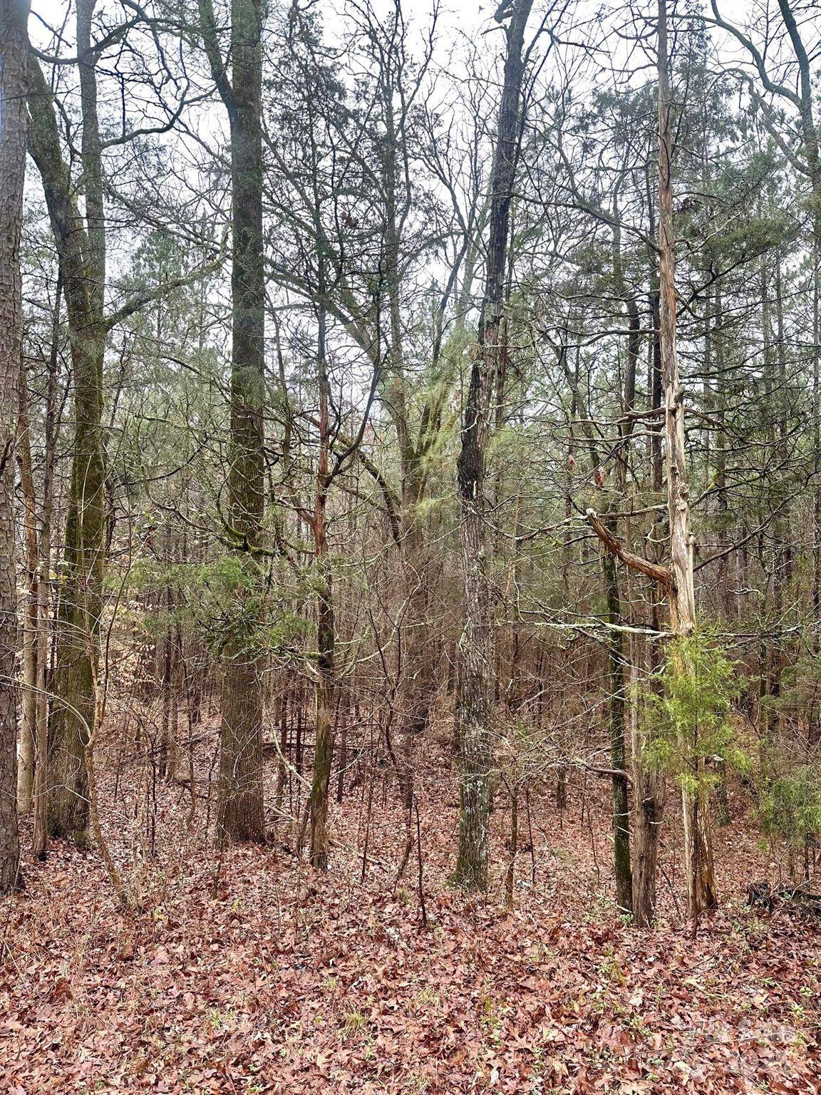 1176 Great Falls HWY, Chester, SC 29706