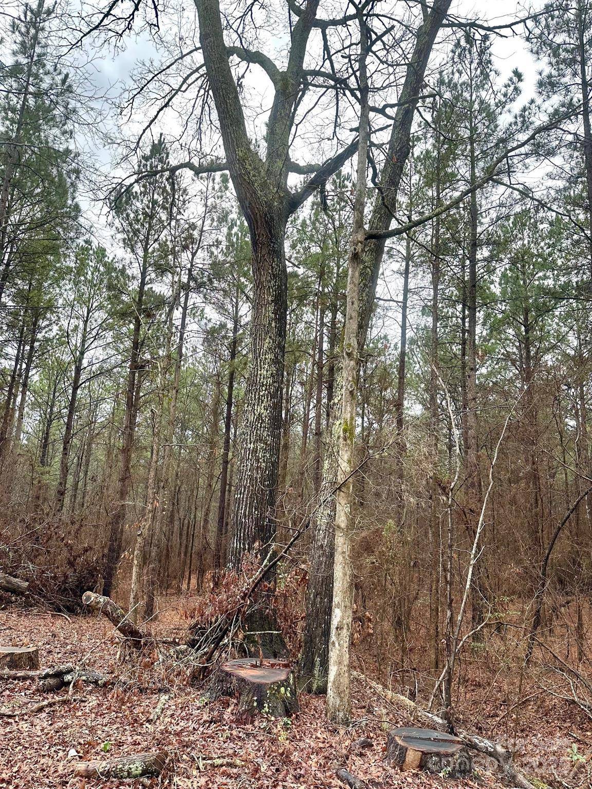 1176 Great Falls HWY, Chester, SC 29706