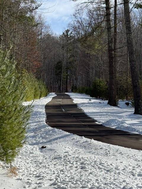 Lot 38 Sonterra RDG, Lansing, NC 28643