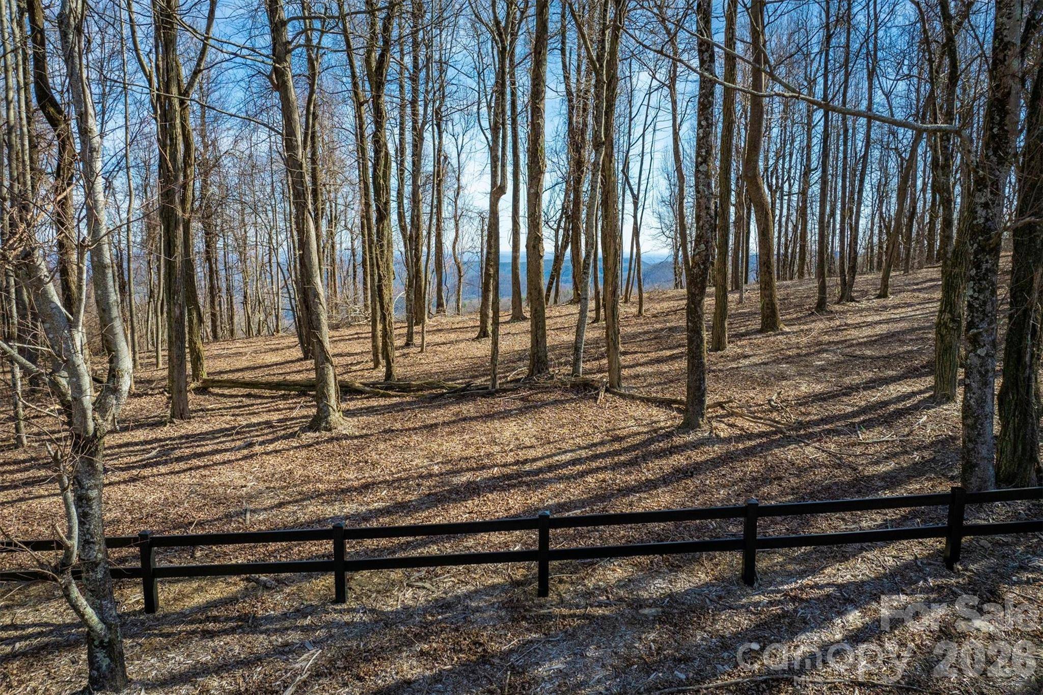 7596 Walkertop Mtn Overlook DR, Morganton, NC 28655