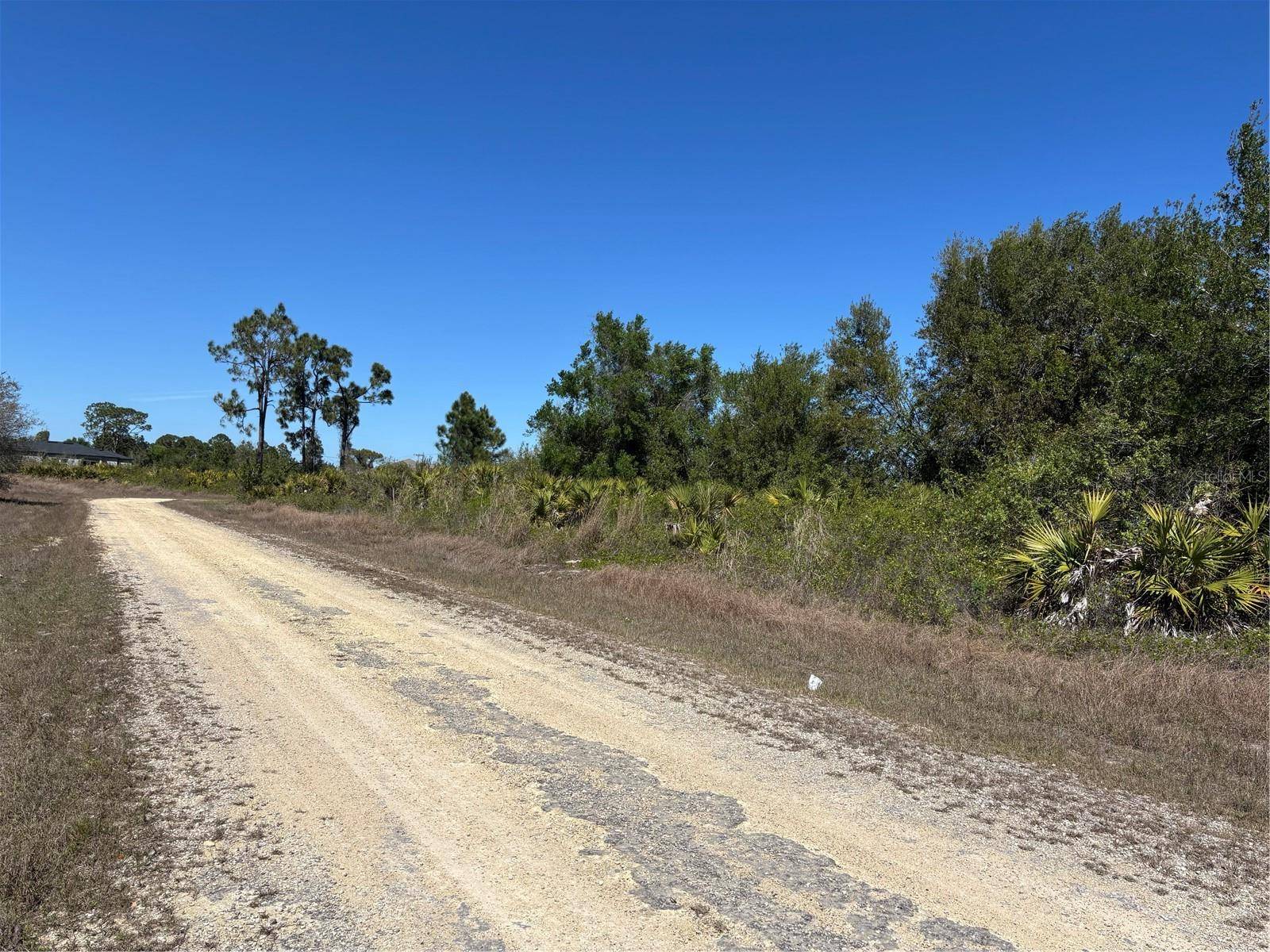 413 & 415 FERNWOOD AVE S, Lehigh Acres, FL 33974