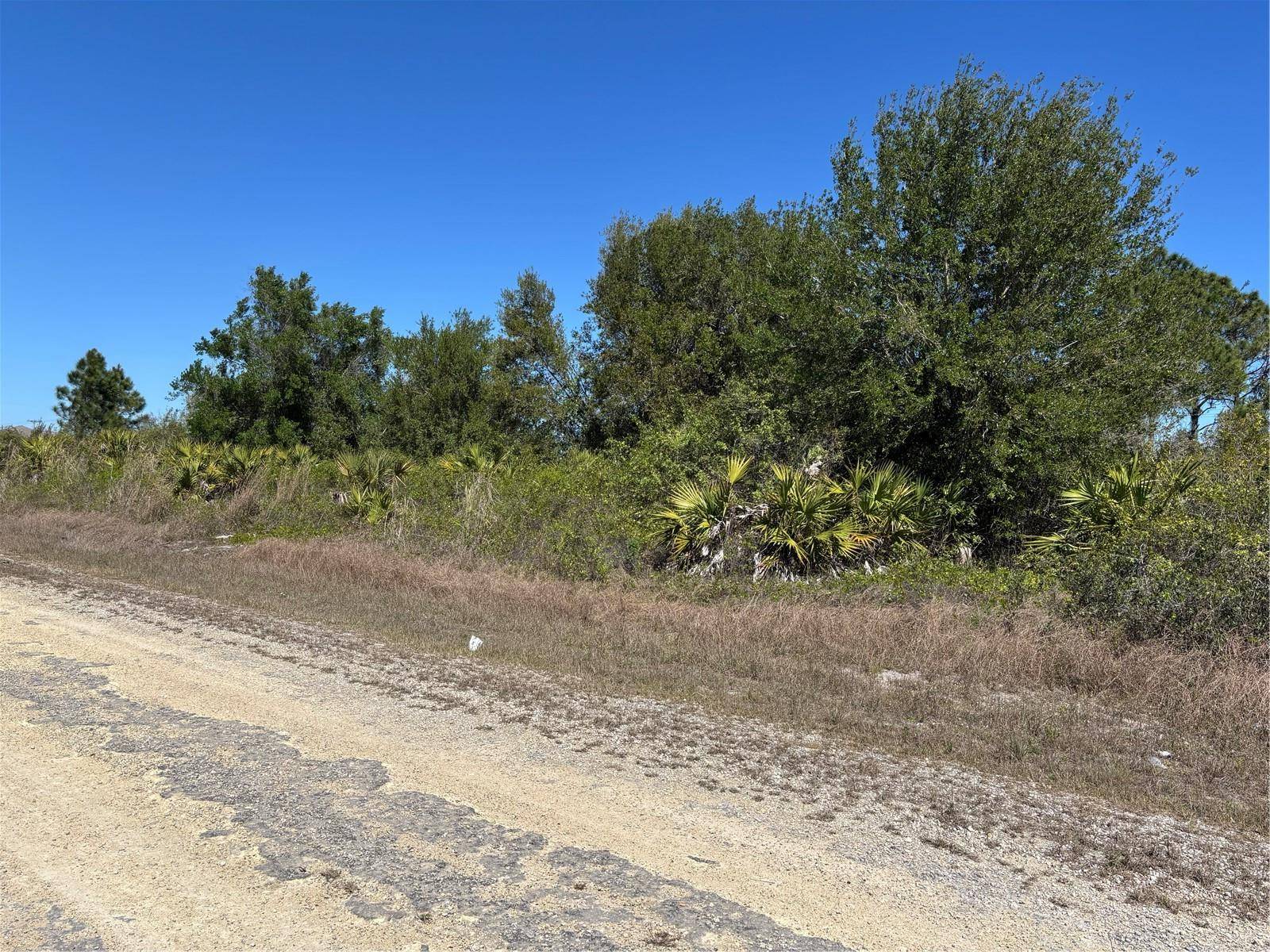413 & 415 FERNWOOD AVE S, Lehigh Acres, FL 33974