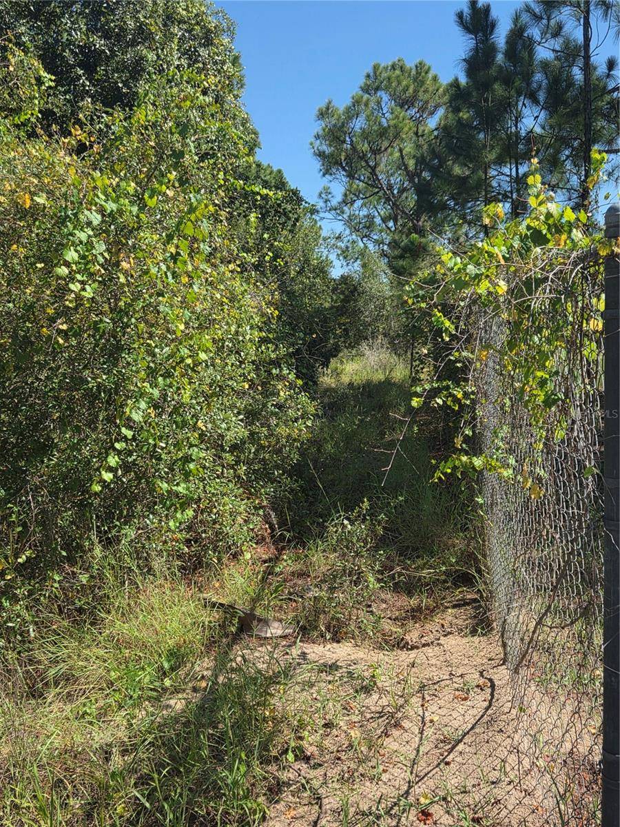 DEER RD, Frostproof, FL 33843