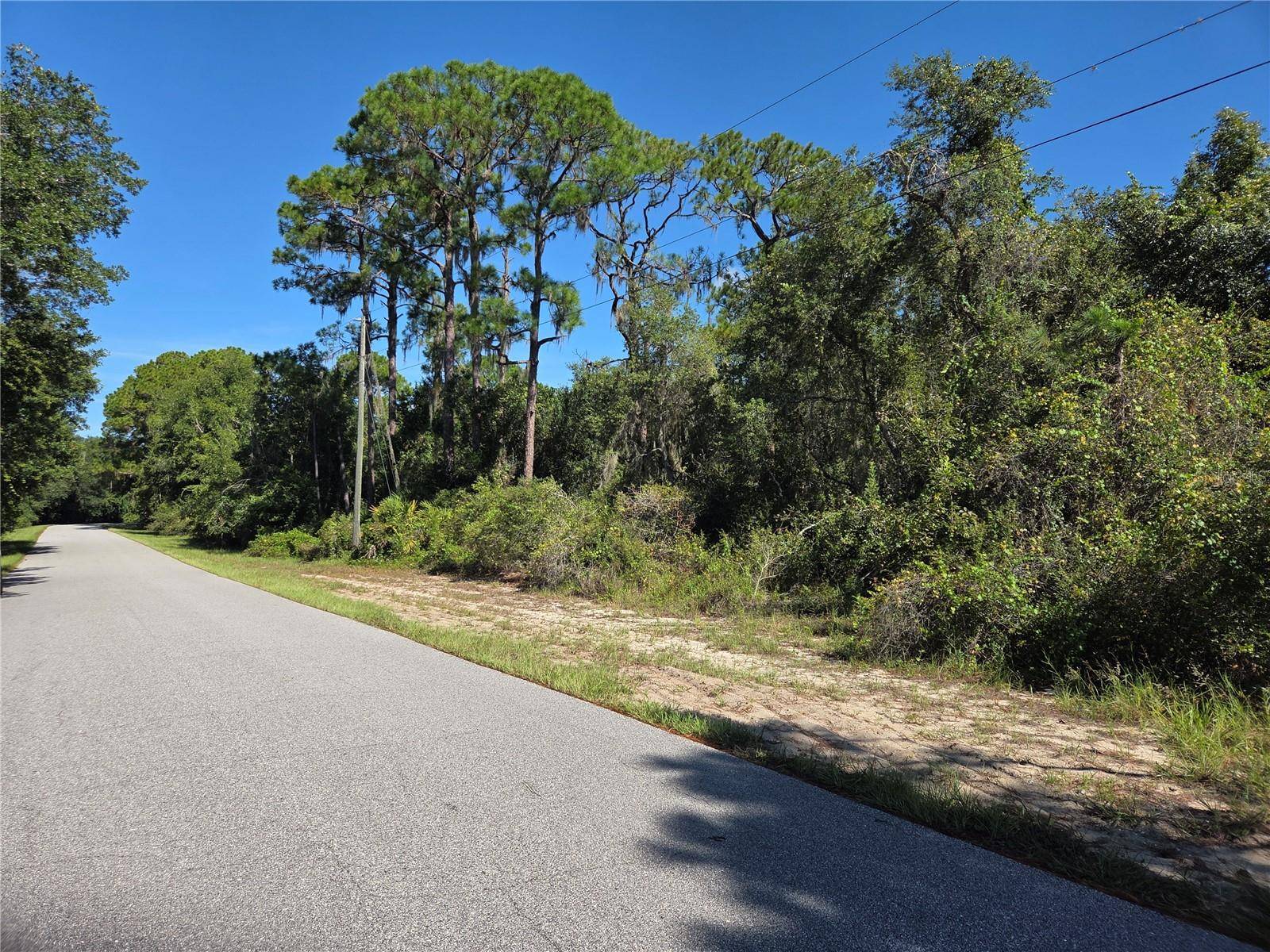 DEER RD, Frostproof, FL 33843