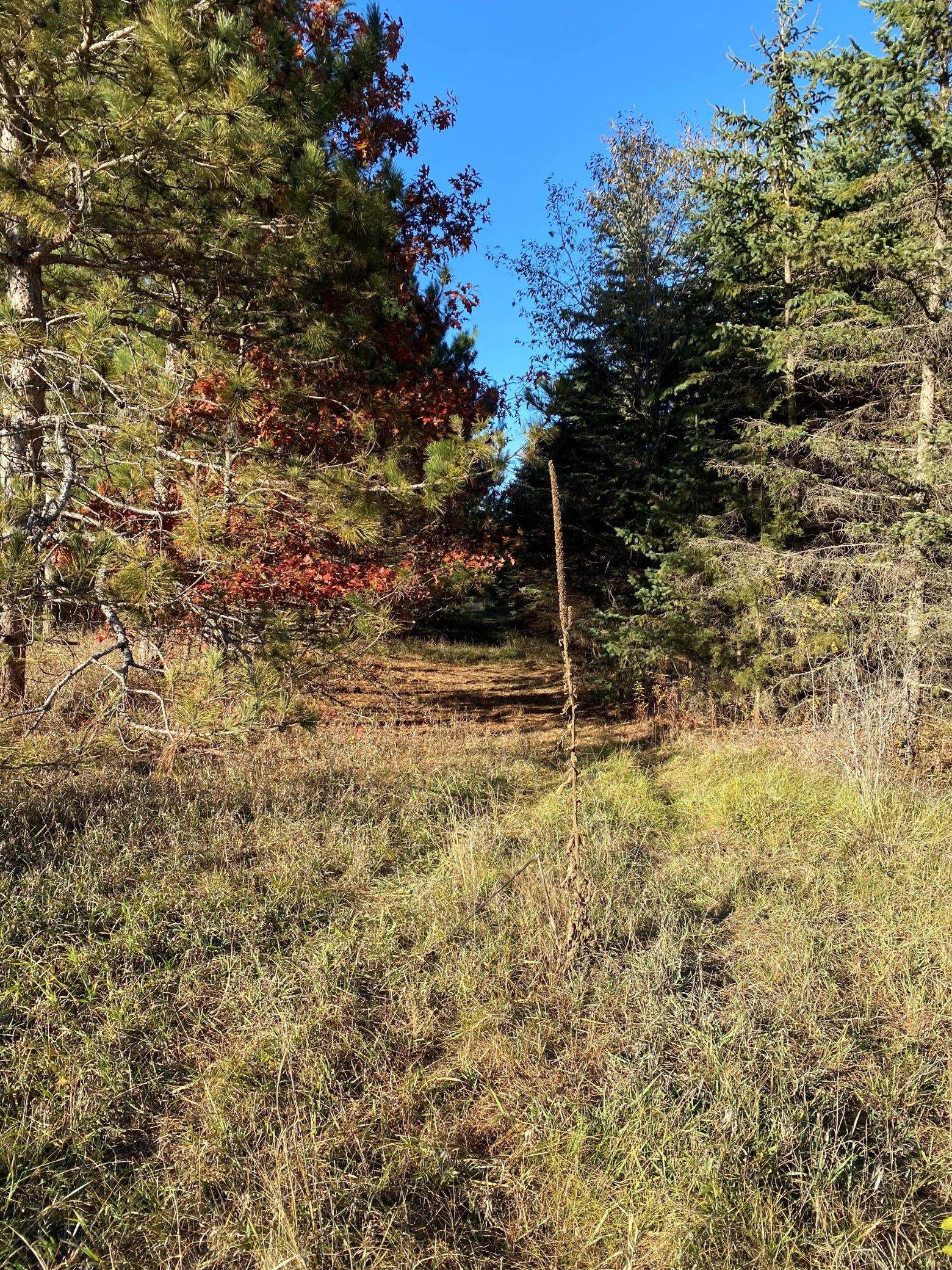 17201 Saint Francis BLVD, Ramsey, MN 55303