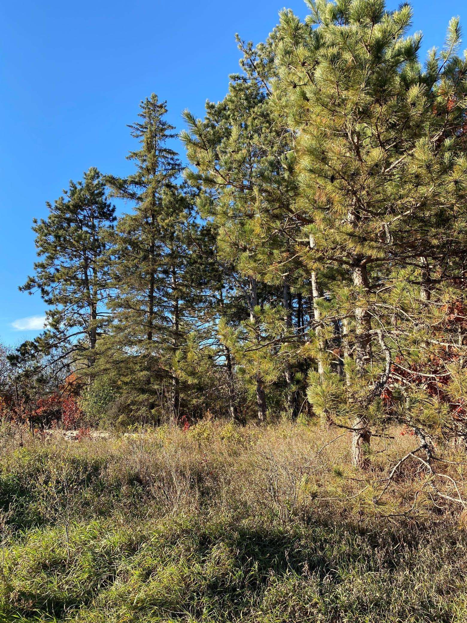 17201 Saint Francis BLVD, Ramsey, MN 55303