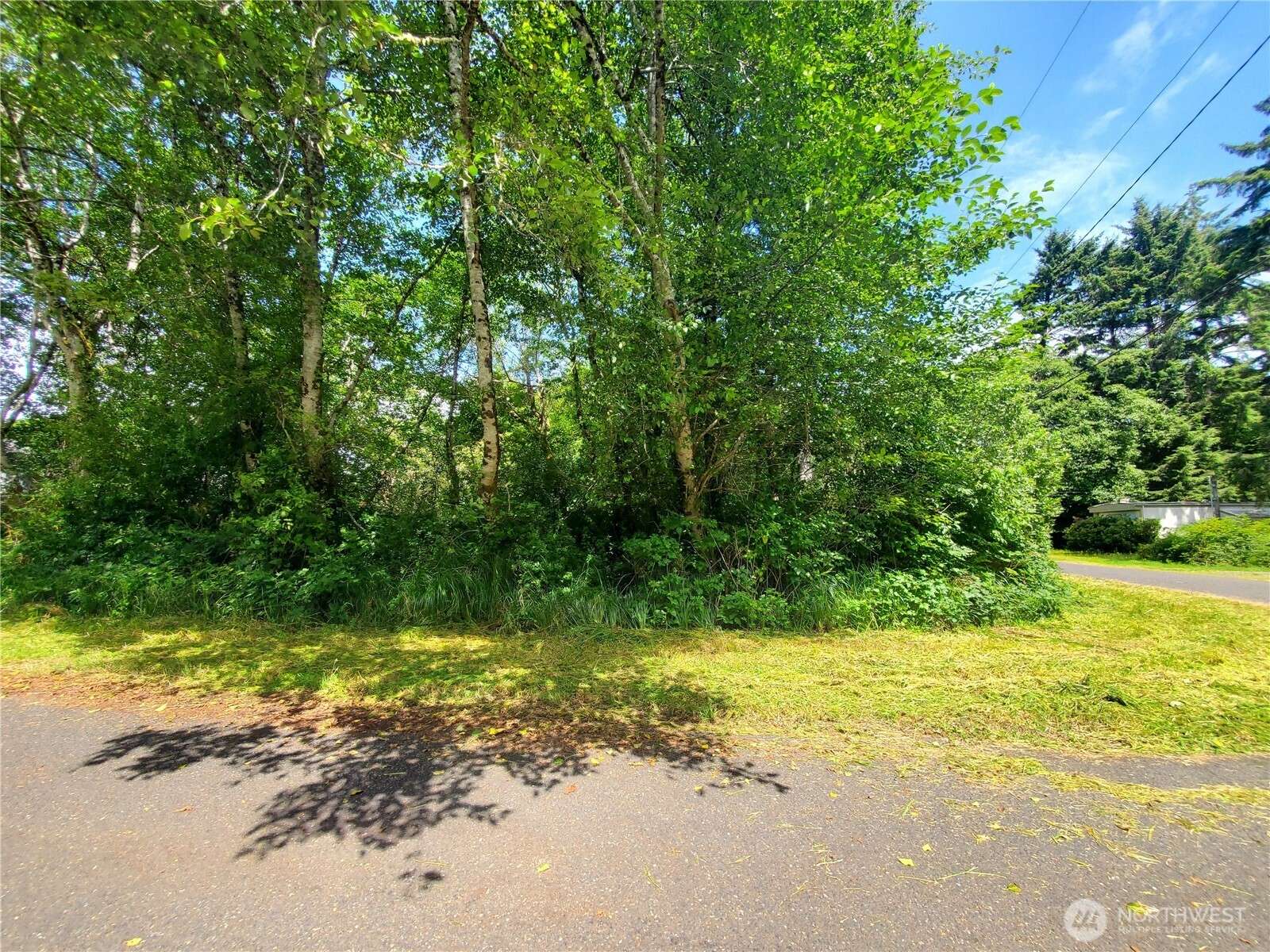 0 Woodland LN, Copalis Beach, WA 98535