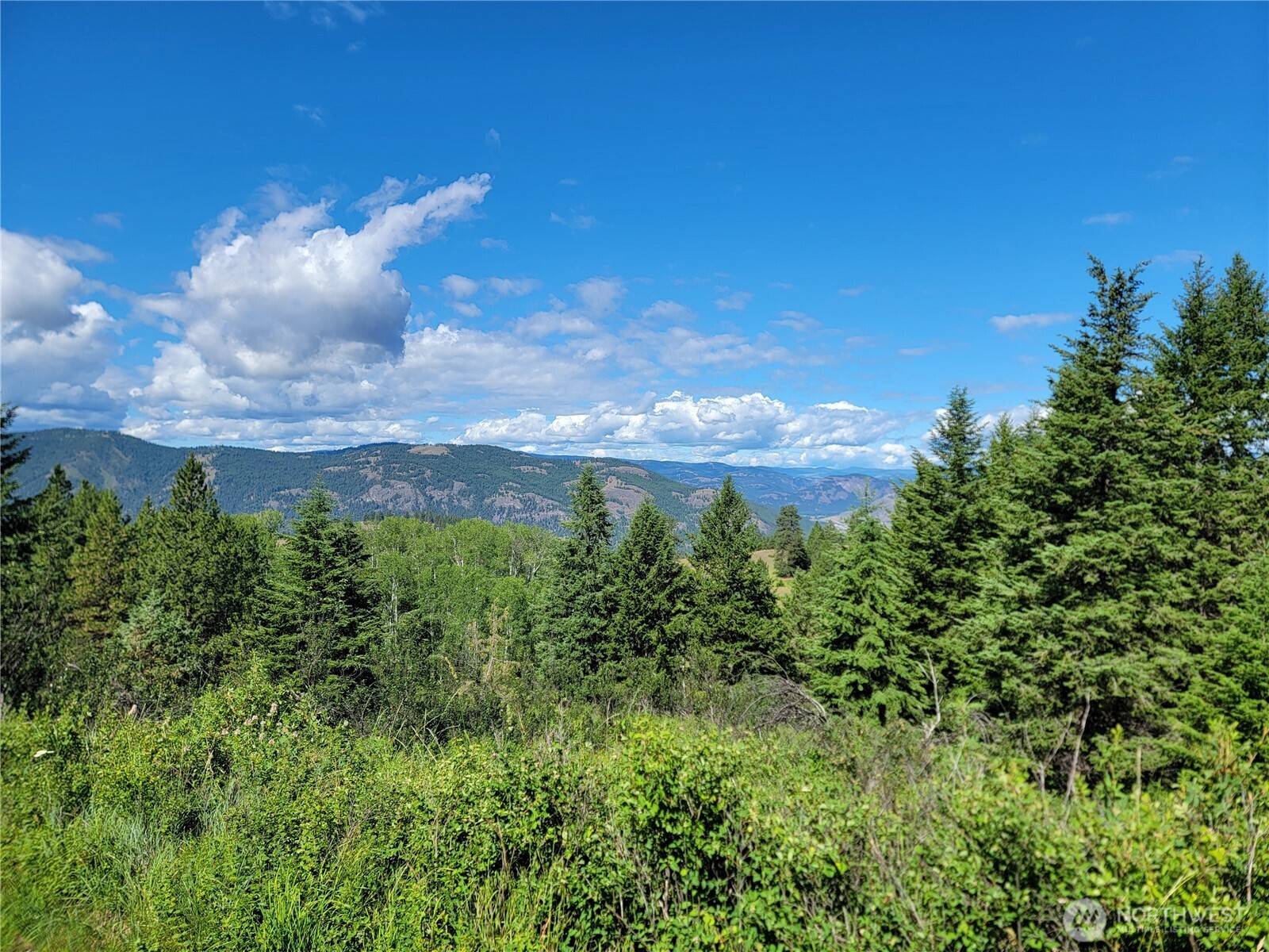 29 Yellow Brick RD, Republic, WA 99166