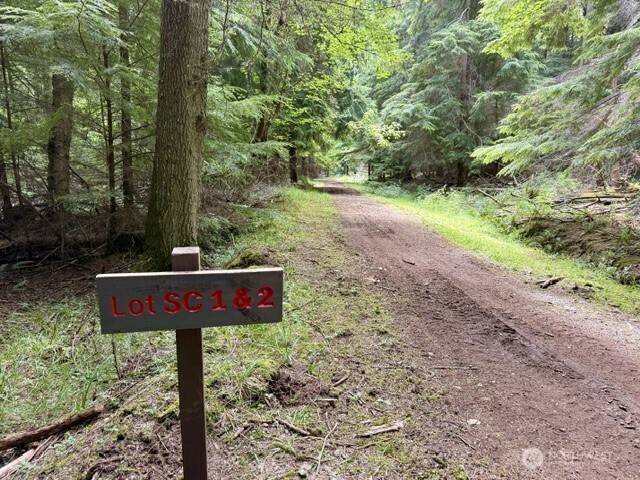 1 Lot Thatcher Pass RD, Decatur Island, WA 98221