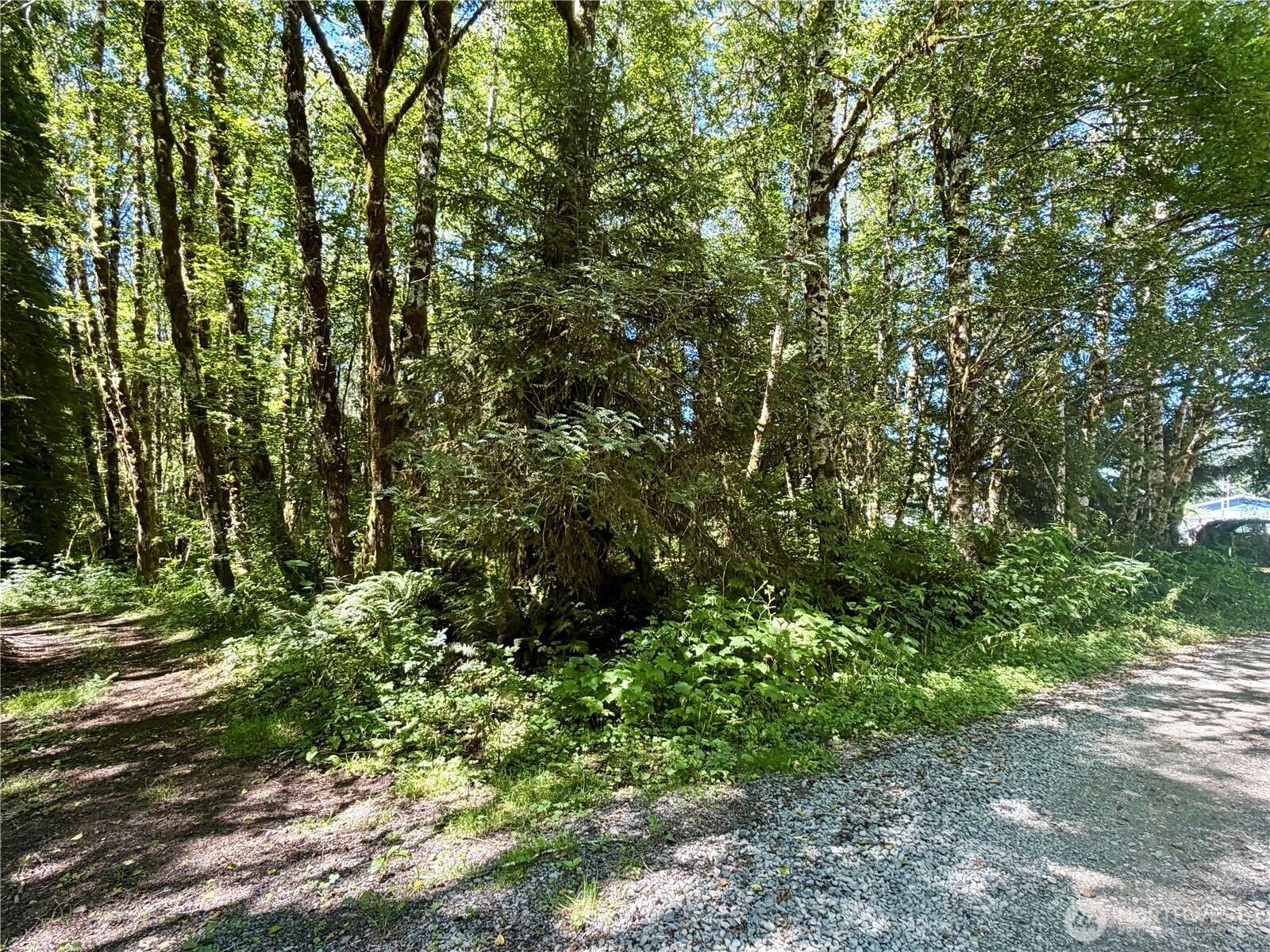 292 Sportmans Club RD, Forks, WA 98331